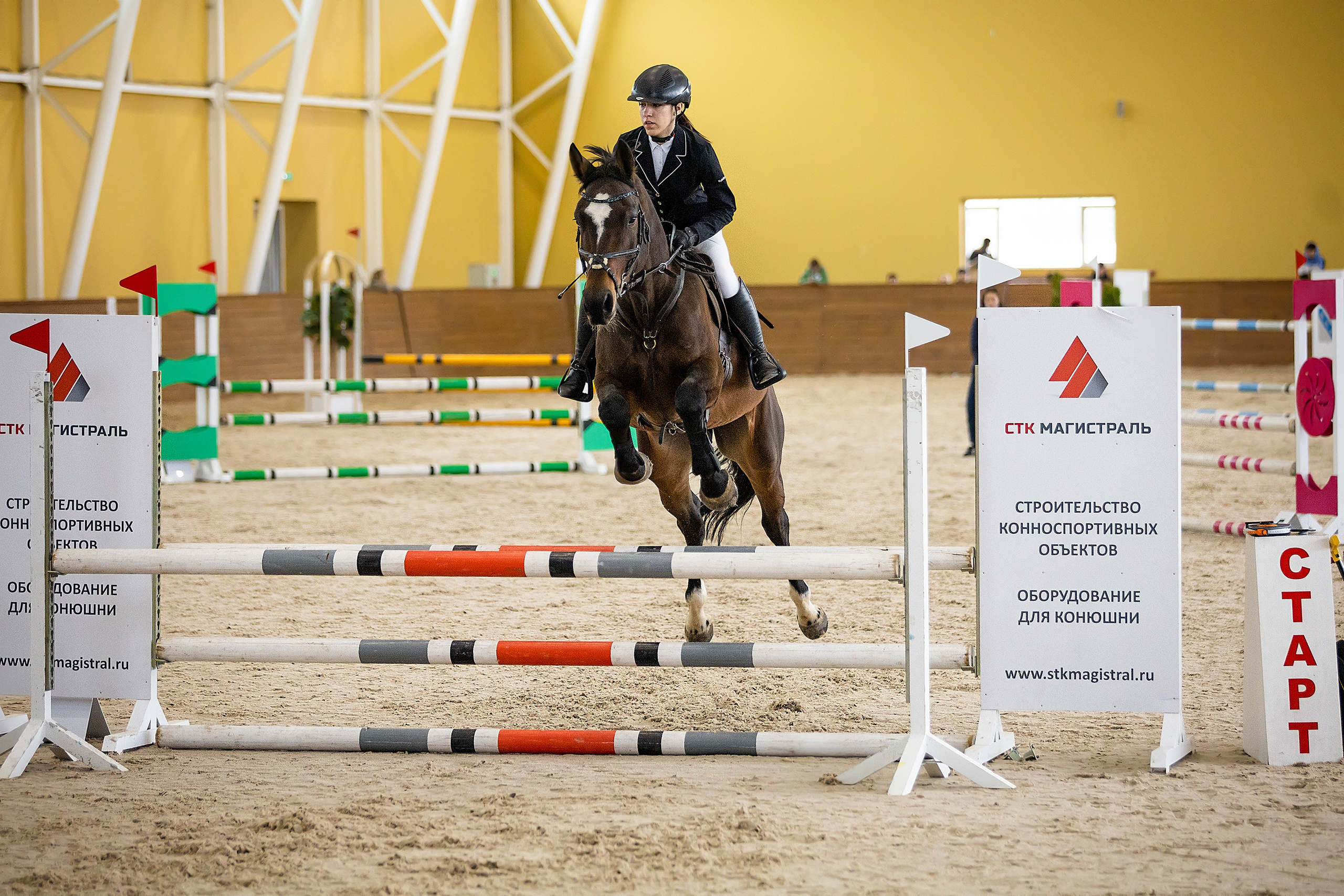 Соревнования. Конкур. Фотограф. Фотограф-анималист. Москва