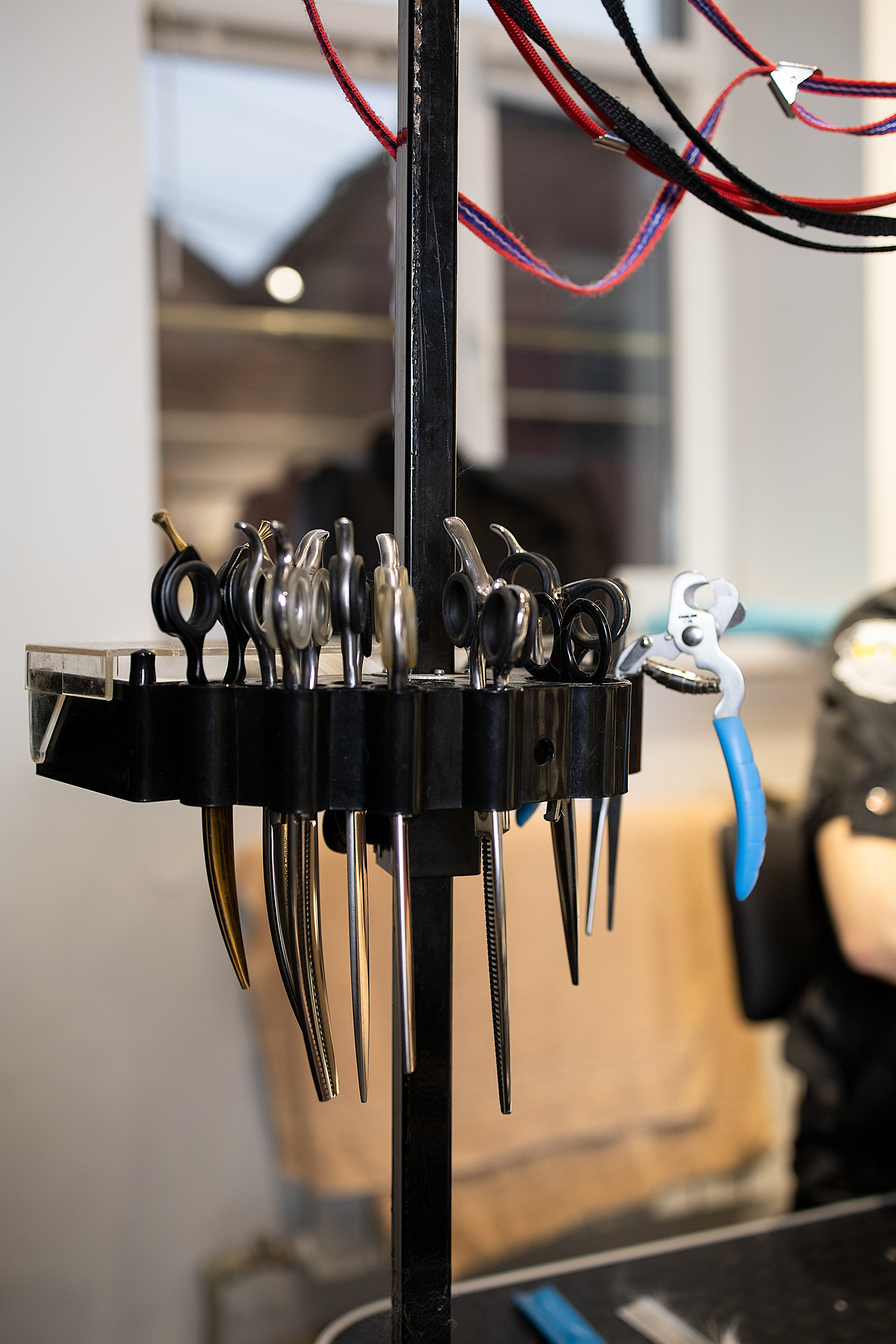 Репортаж из груминг салона. Фотограф. Фотограф-анималист. Москва