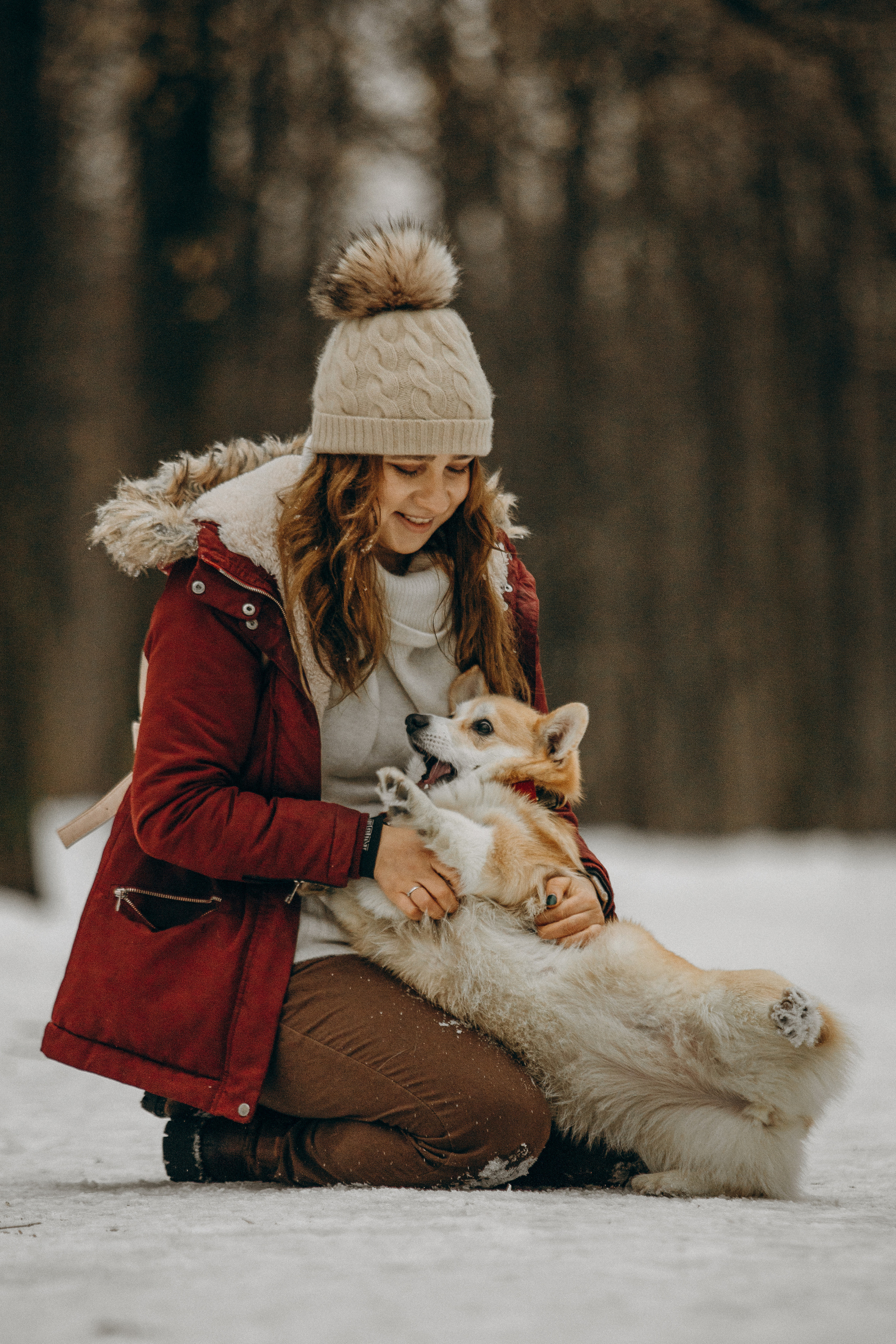 Художественная фотосессия с корги. Фотограф. Фотограф-анималист. Москва