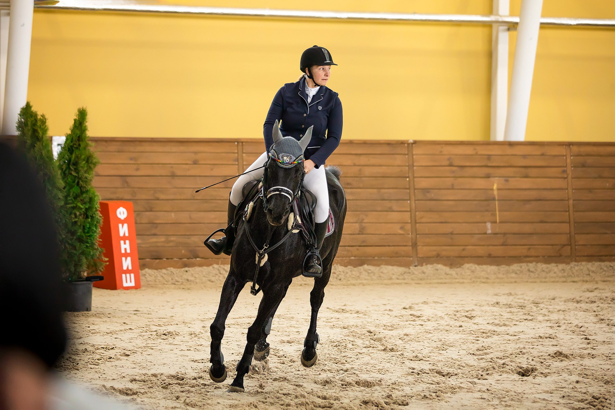 Соревнования. Конкур. Фотограф. Фотограф-анималист. Москва