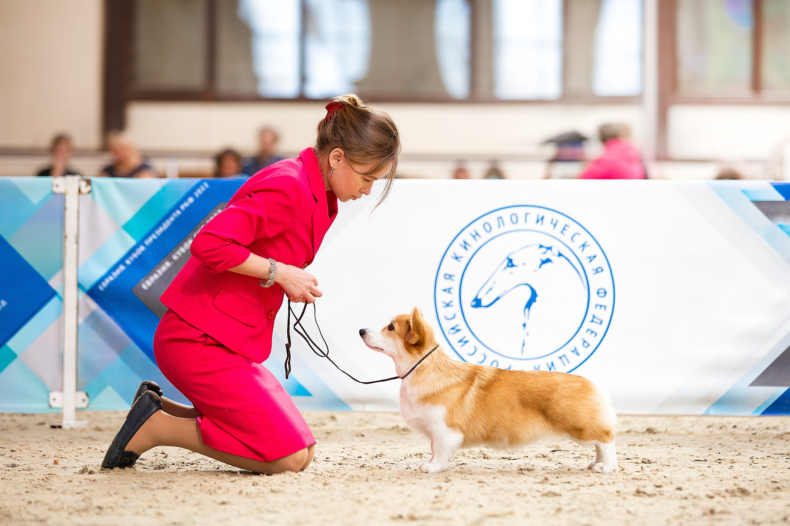 Выставочный репортаж. Фотограф. Фотограф-анималист. Москва