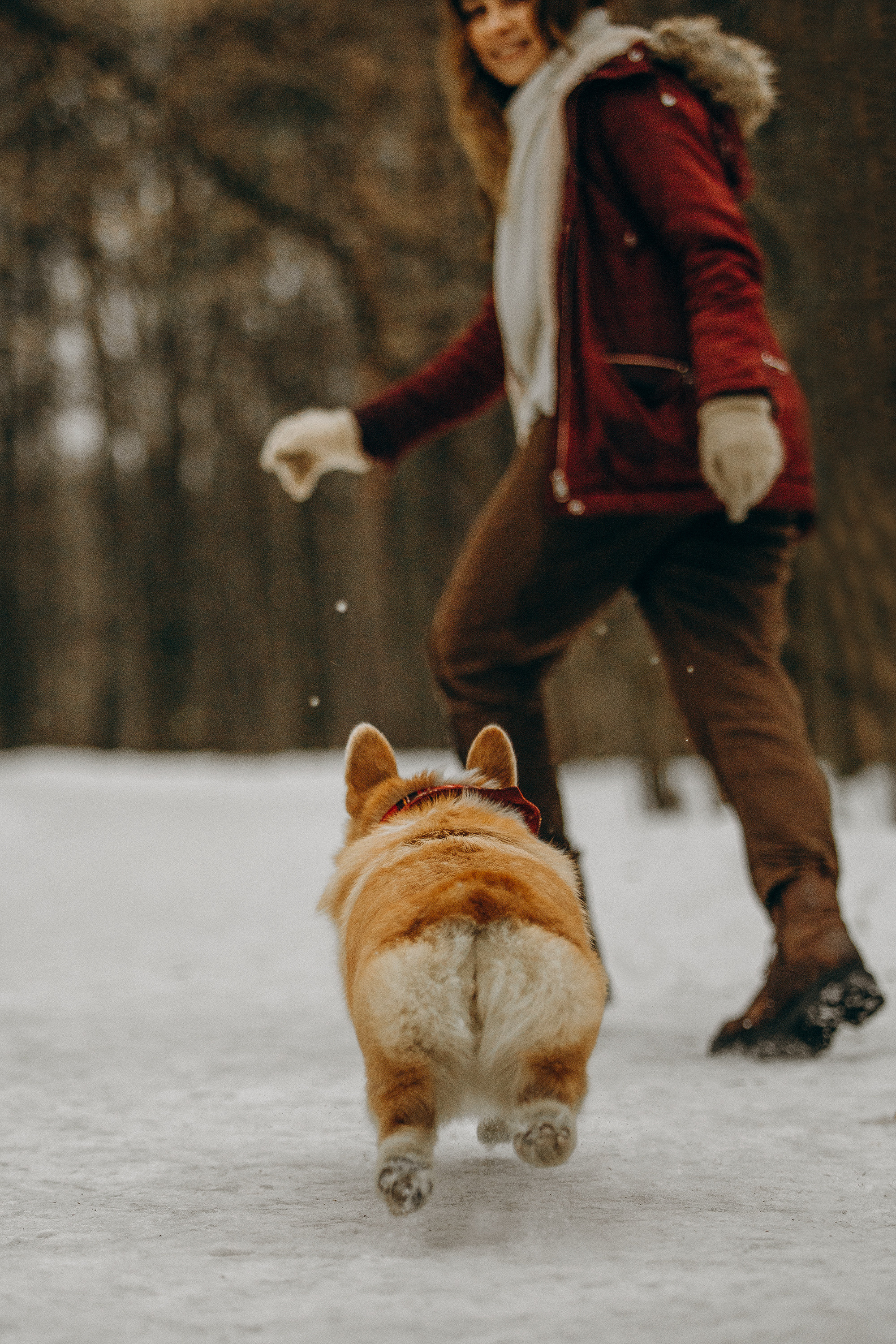 Фотограф. Фотограф-анималист. Москва