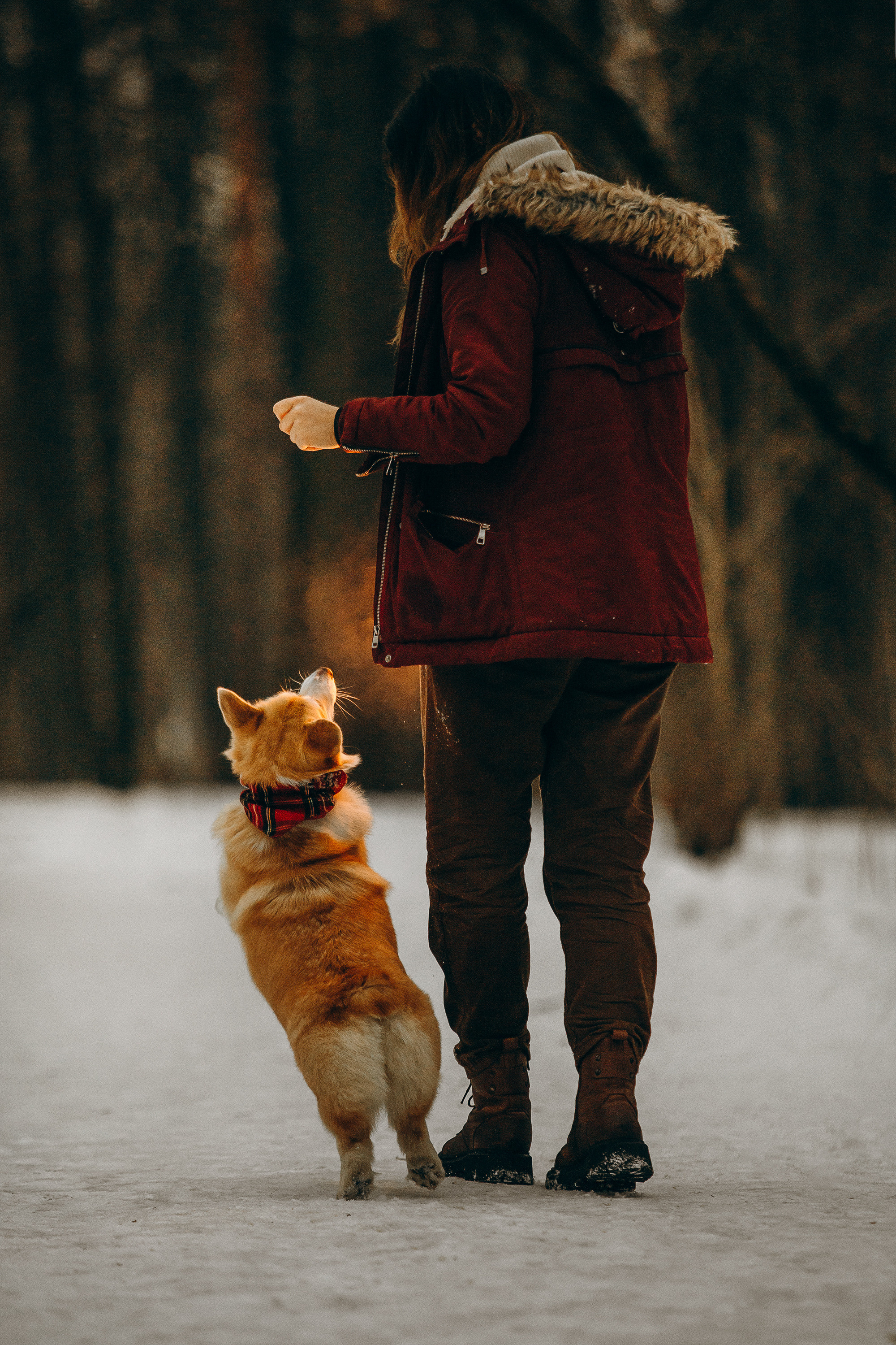 Фотограф. Фотограф-анималист. Москва