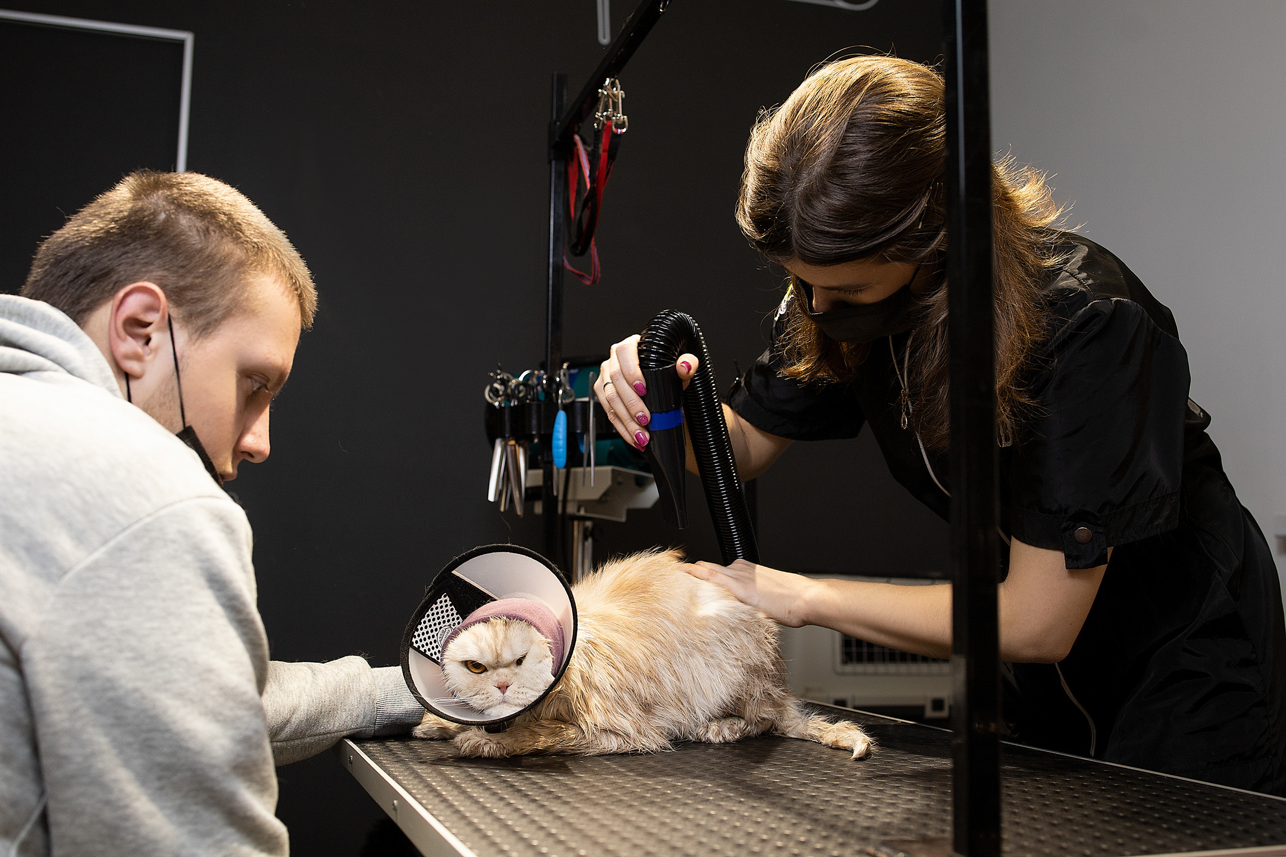 Репортаж из груминг салона. Фотограф. Фотограф-анималист. Москва