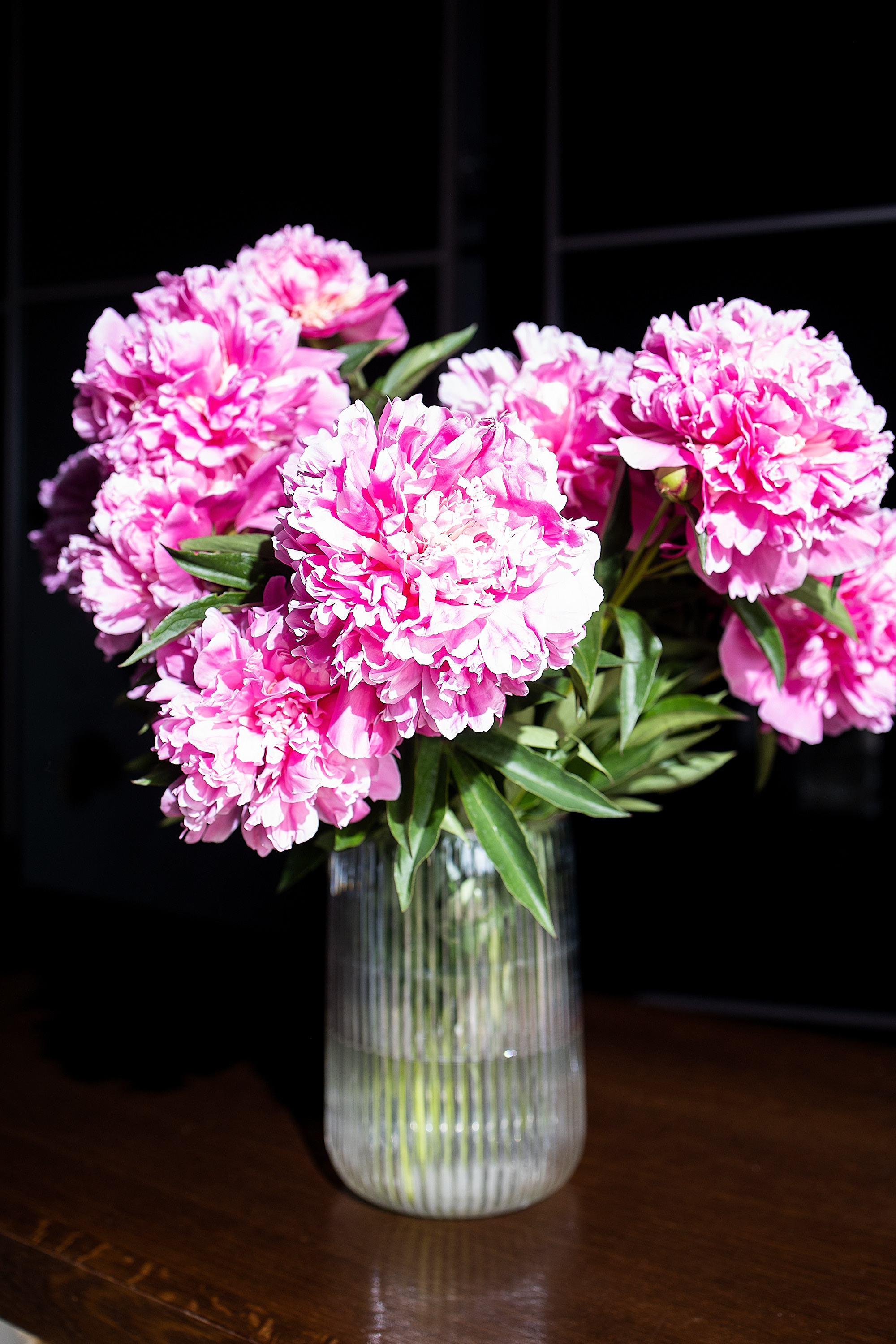 Репортаж. День рождения Александра. Фотограф. Фотограф-анималист. Москва