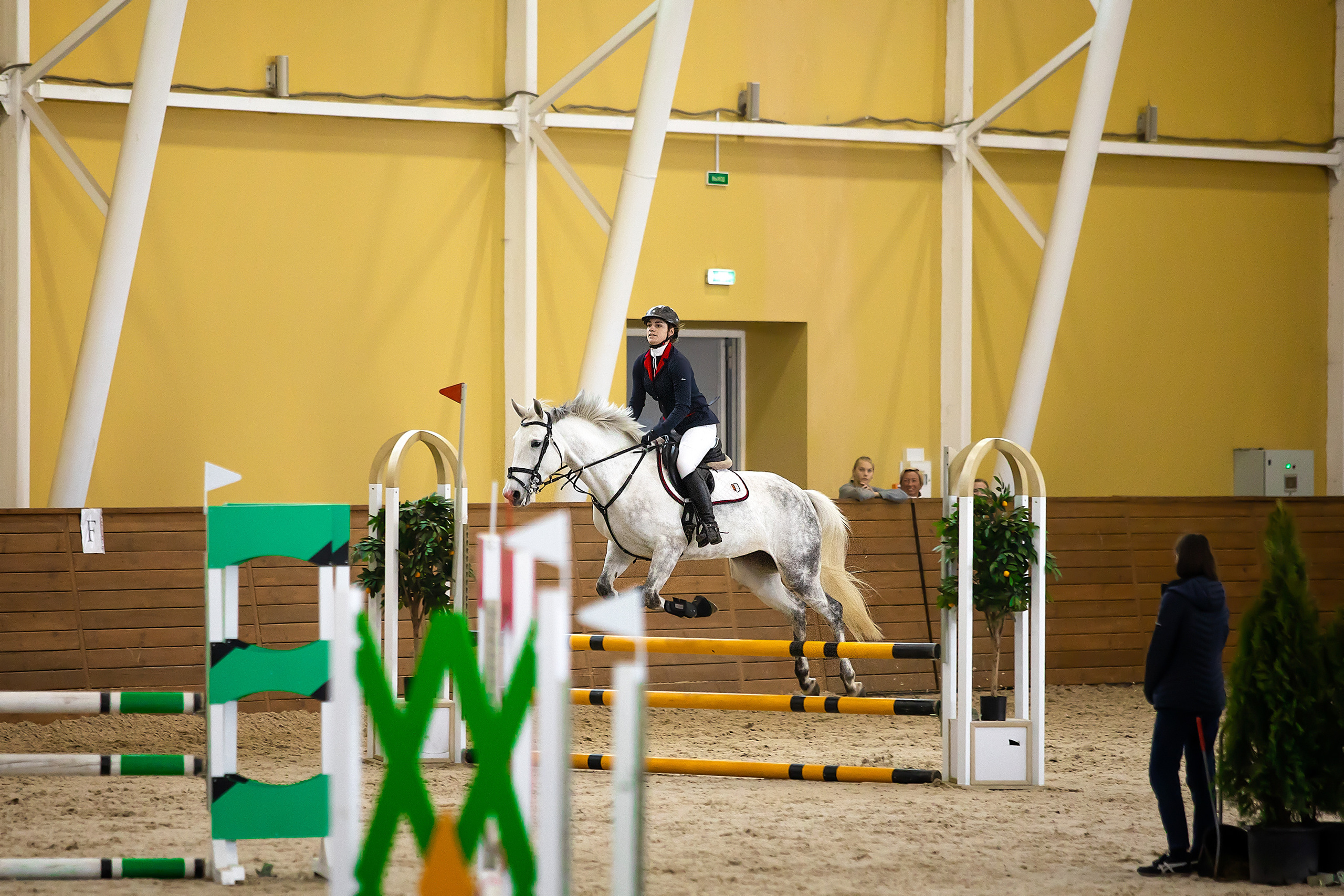 Соревнования. Конкур. Фотограф. Фотограф-анималист. Москва