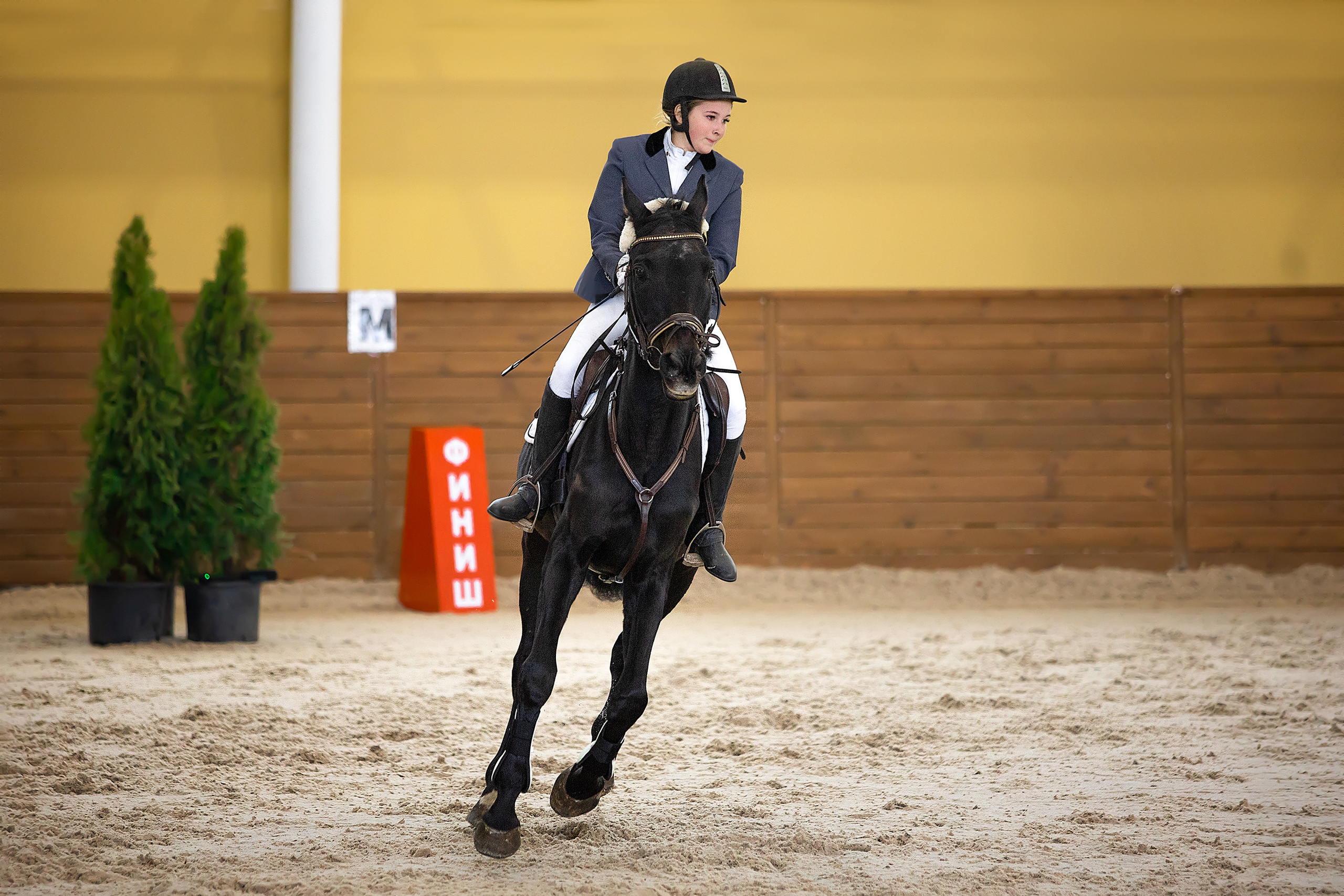 Соревнования. Конкур. Фотограф. Фотограф-анималист. Москва