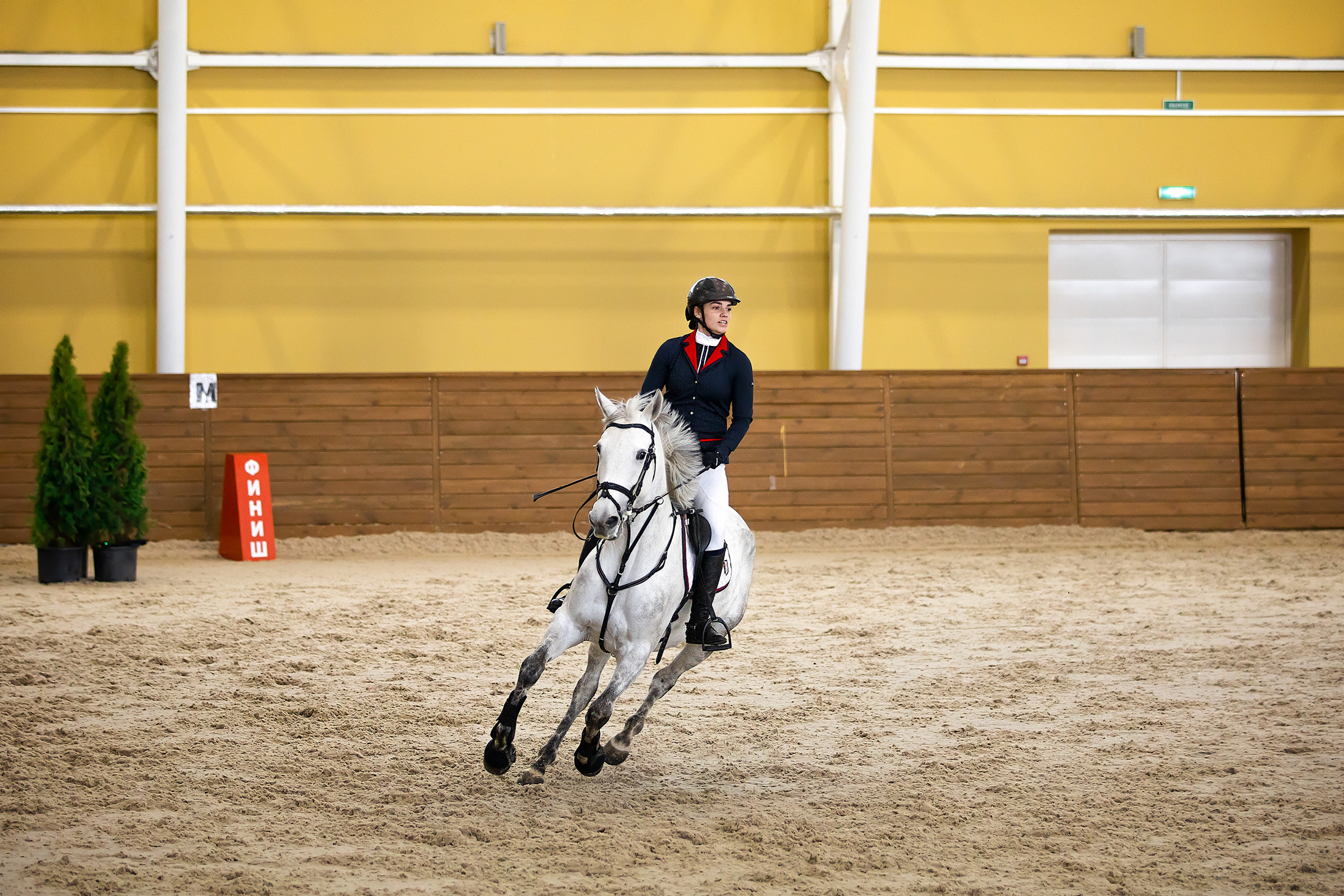 Соревнования. Конкур. Фотограф. Фотограф-анималист. Москва