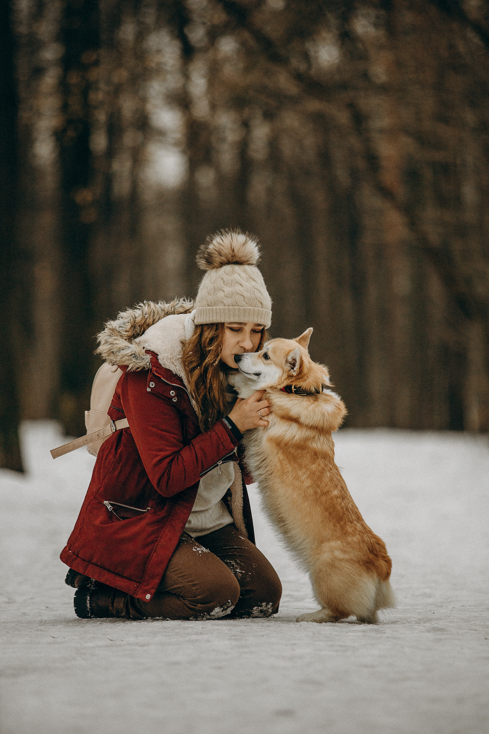 Художественная фотосессия с корги. Фотограф. Фотограф-анималист. Москва