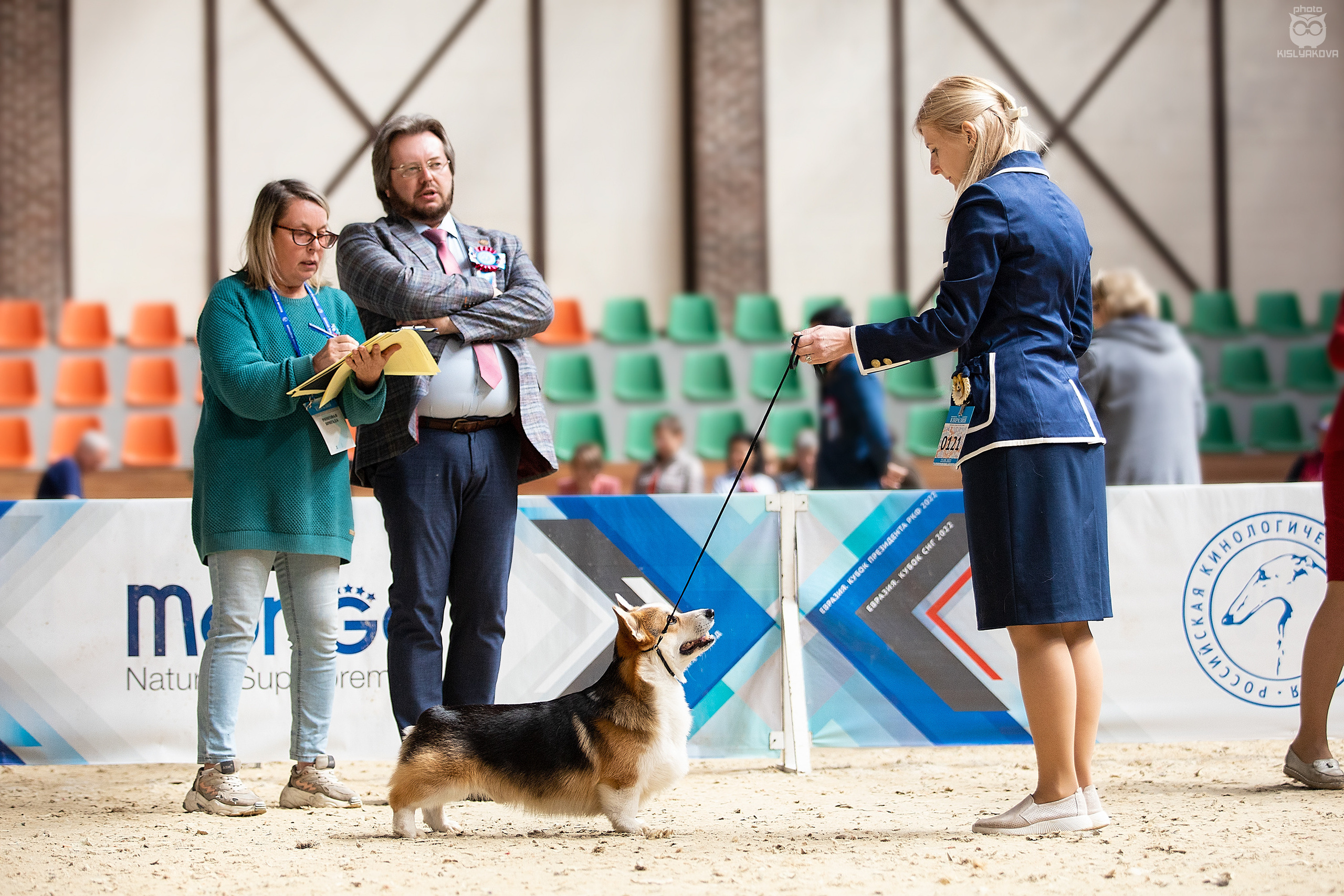 Выставочный репортаж. Фотограф. Фотограф-анималист. Москва