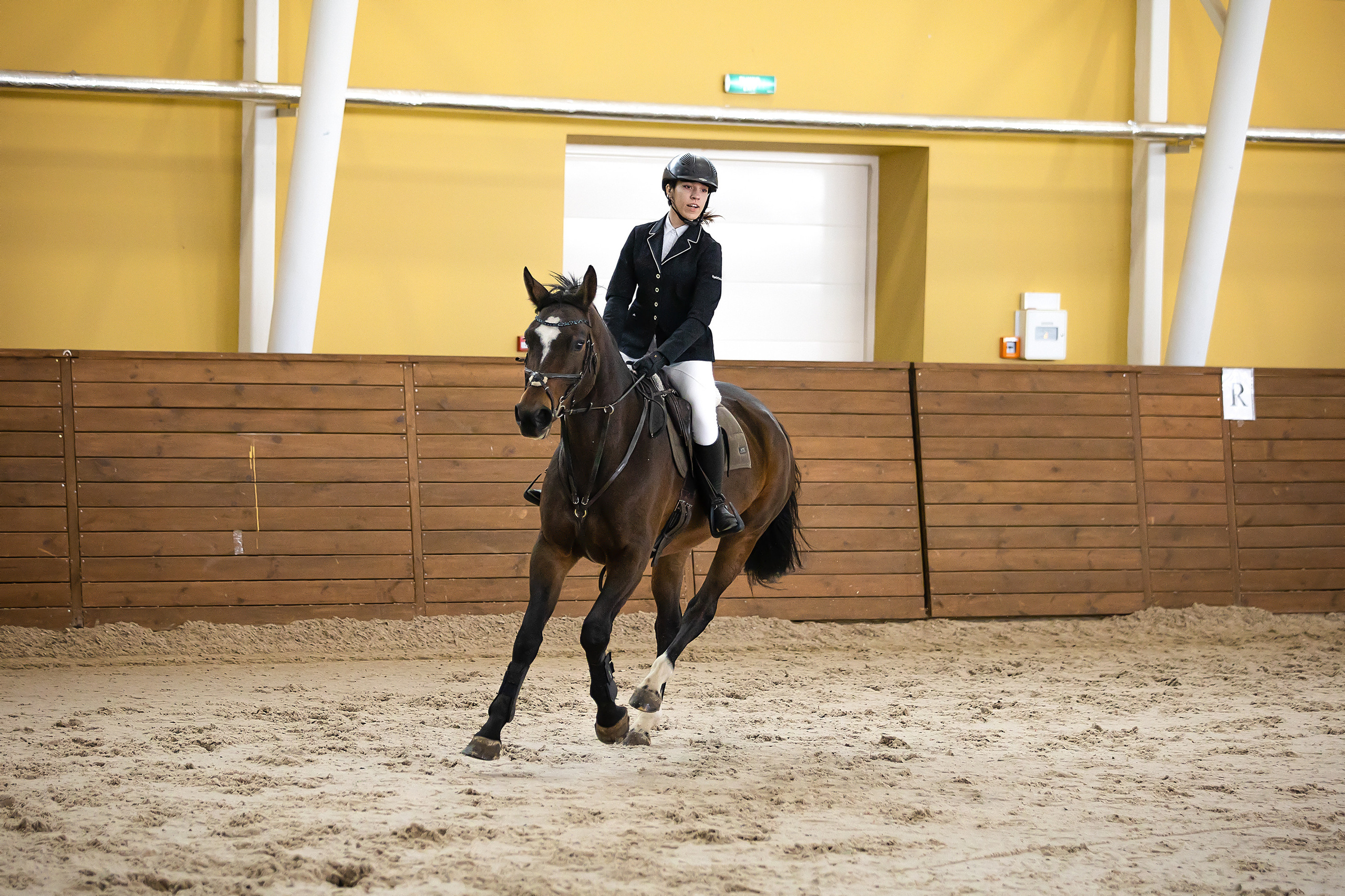 Соревнования. Конкур. Фотограф. Фотограф-анималист. Москва