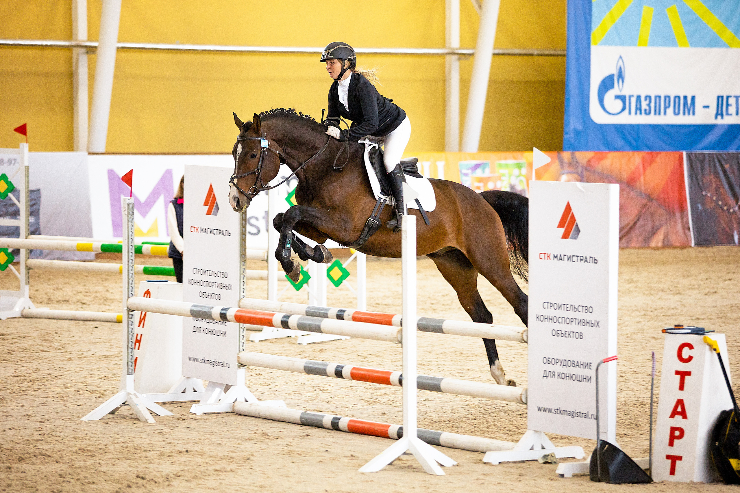Соревнования. Конкур. Фотограф. Фотограф-анималист. Москва