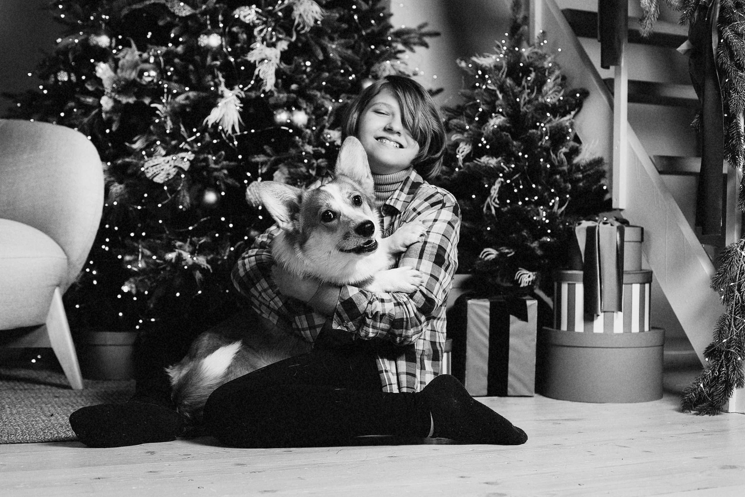 Студийные фотосессии. Фотограф. Фотограф-анималист. Москва