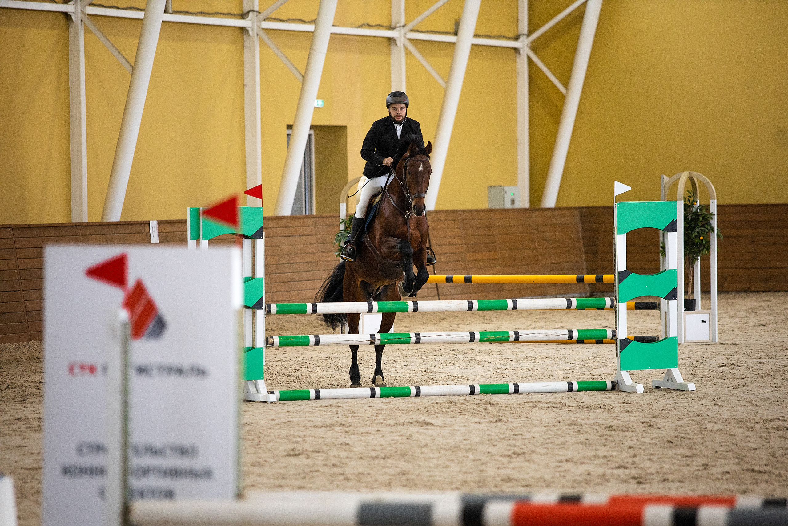 Соревнования. Конкур. Фотограф. Фотограф-анималист. Москва