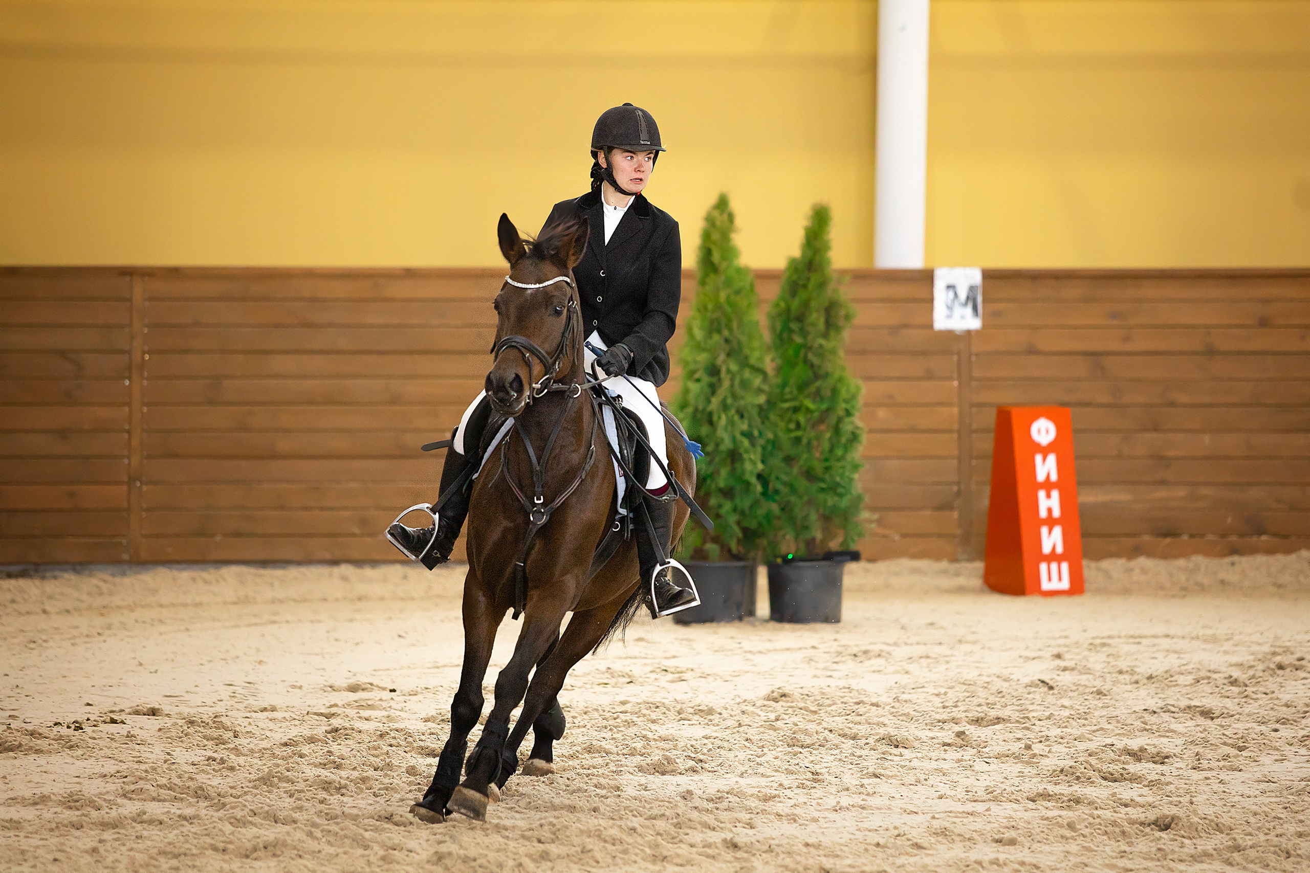 Соревнования. Конкур. Фотограф. Фотограф-анималист. Москва