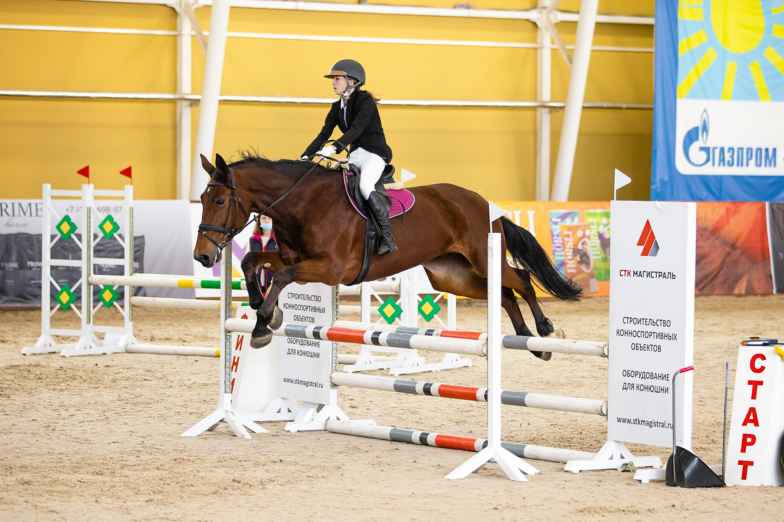 Соревнования. Конкур. Фотограф. Фотограф-анималист. Москва
