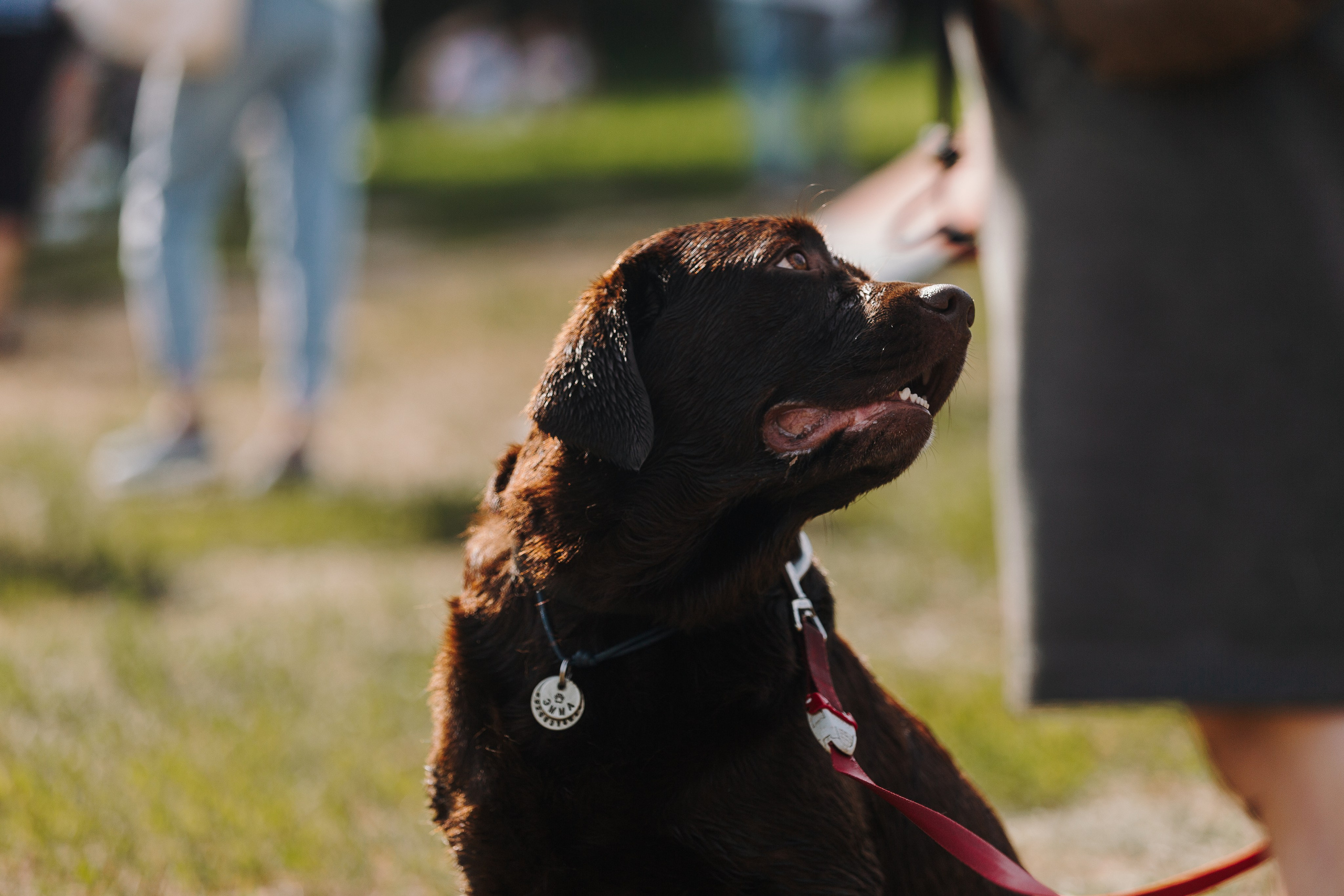 Petshop Sup day. Фотограф анималист Кристина Карпова, Москва