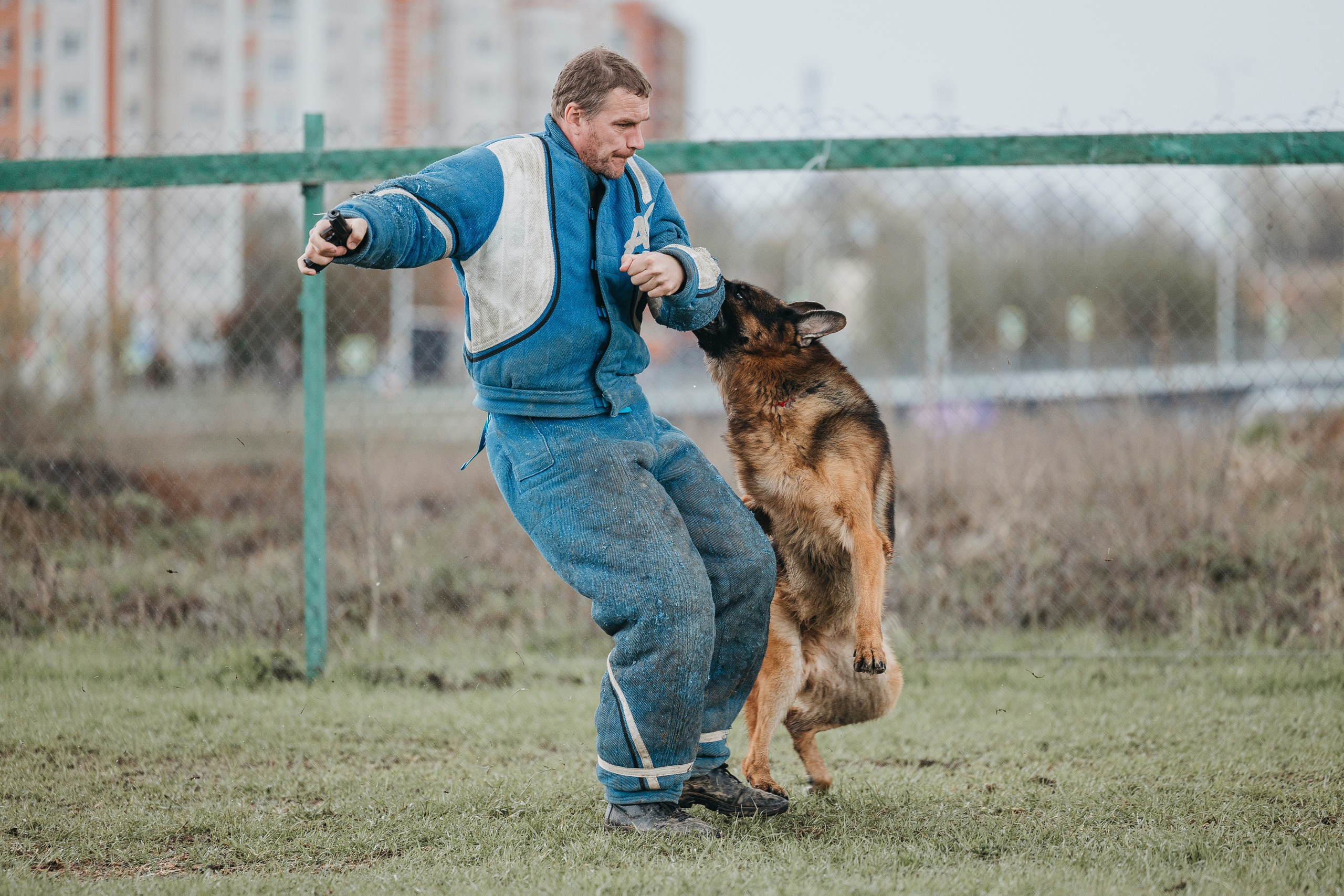 09.05.25 Вологда соревнования. Фотограф-анималист Анна Маринич