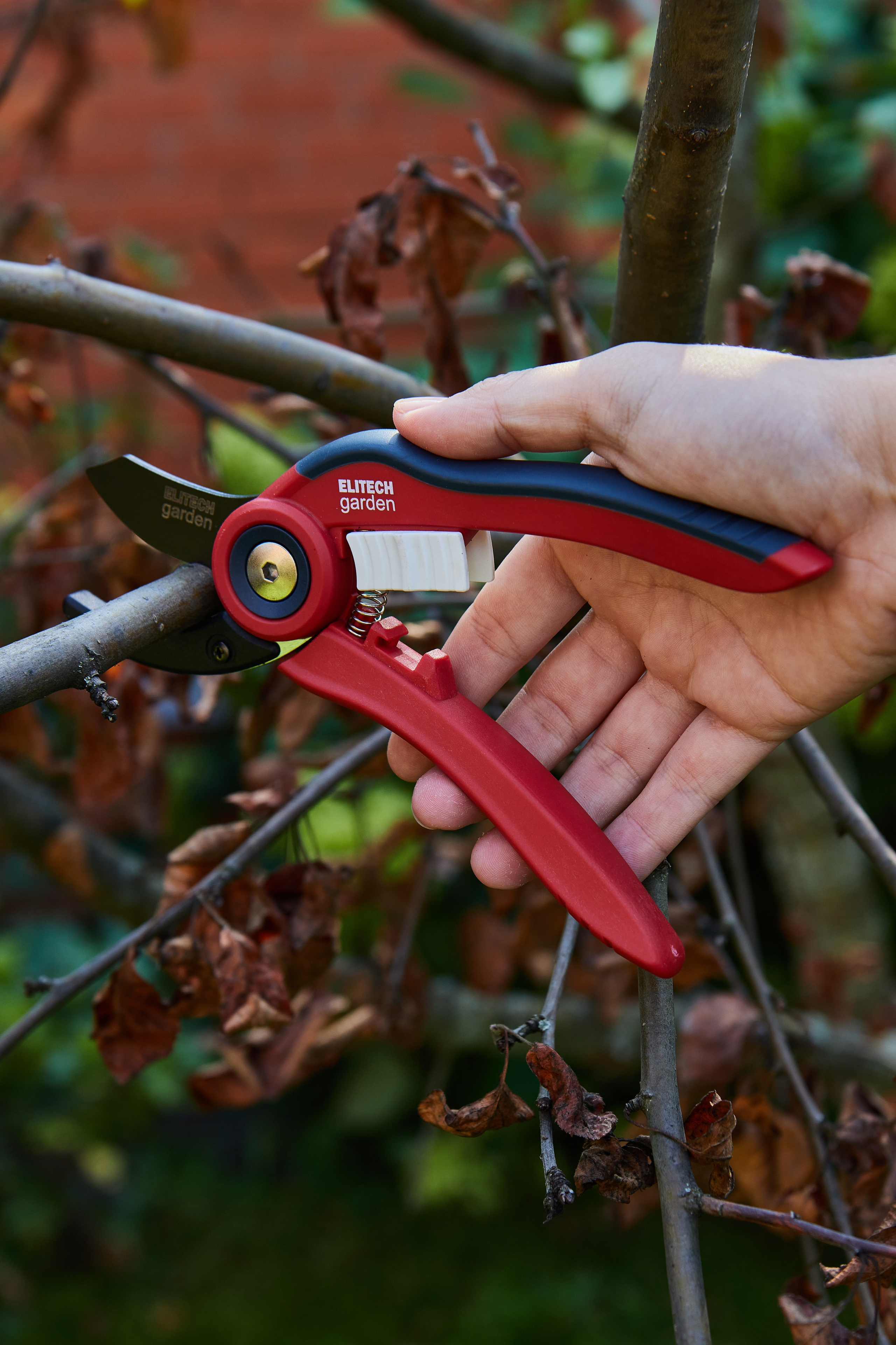 Имиджевая съемка инструментов. Надежда Доброва предметный и ювелирный фудфотограф, Москва