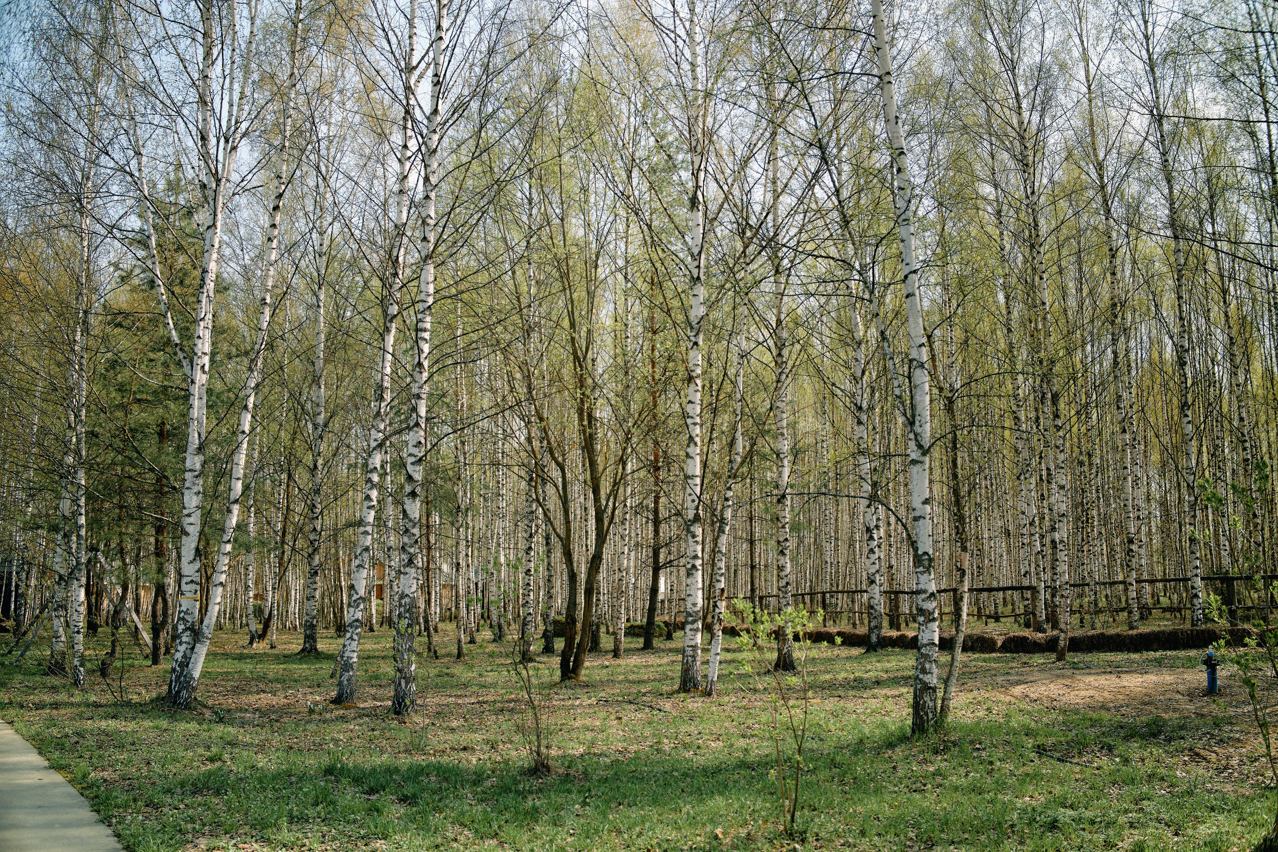 Бутик-отель Поле летом. Профессиональный Фотограф во Владимире, в Москве и в Суздале — Полина Романычева