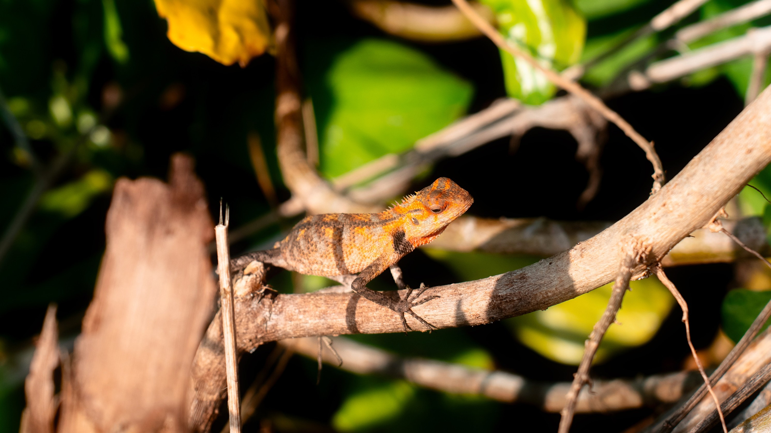 Ktokuda. Фотограф в Хабаровске. Фотография за 24 часа