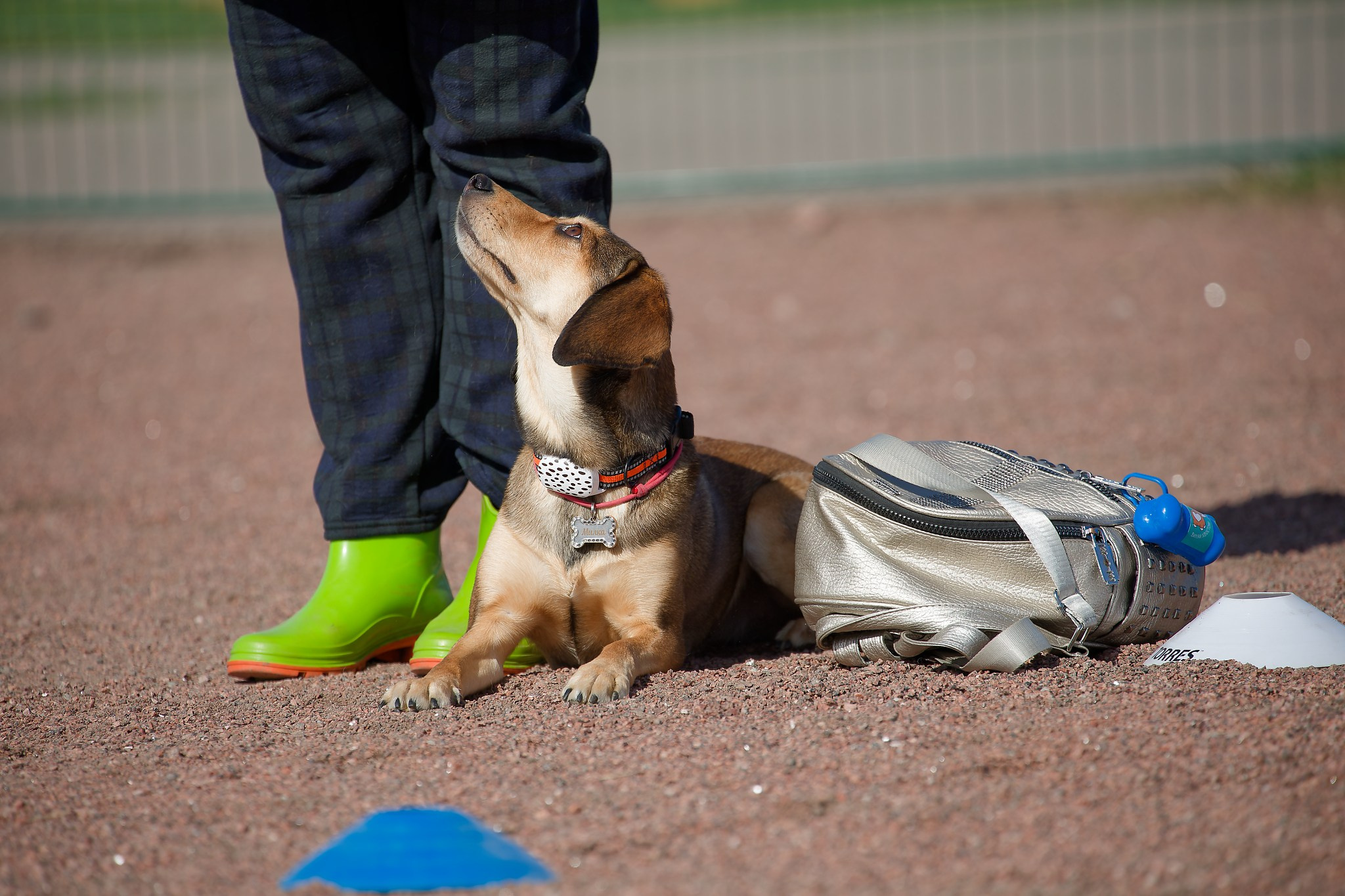 Турнир «Место». Irenephoto.ru