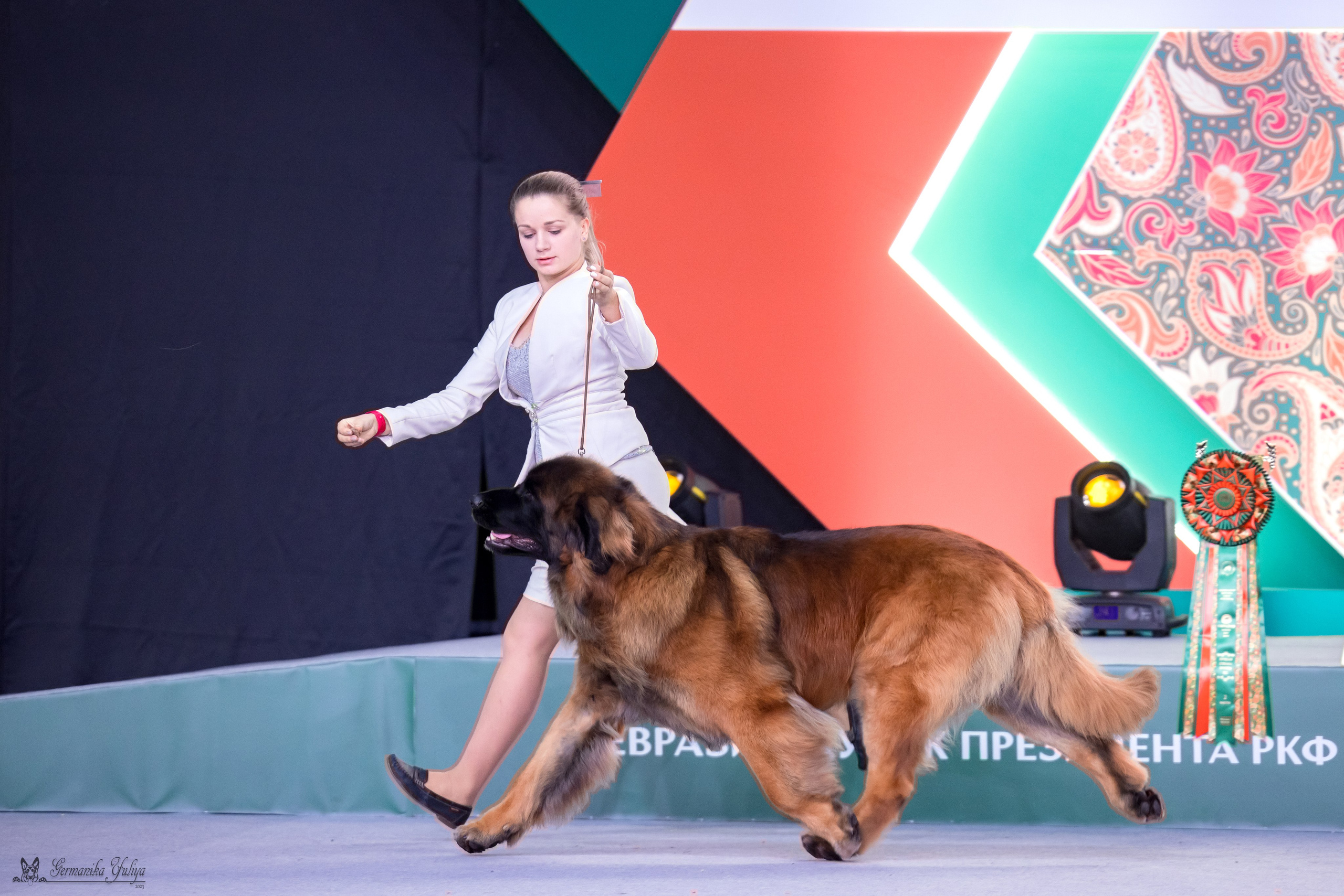 ЕВРАЗИЯ 18-19.11.2023. Фотограф-анималист Юлия Германика