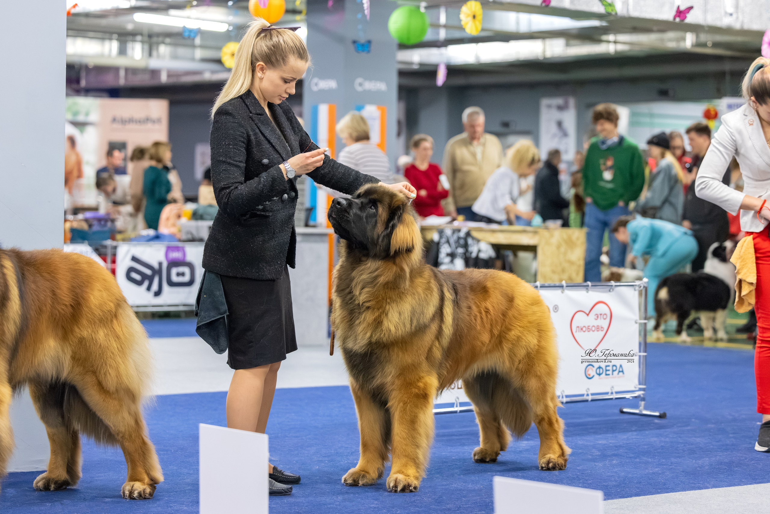 Сфера 17.03.2024. Фотограф-анималист Юлия Германика