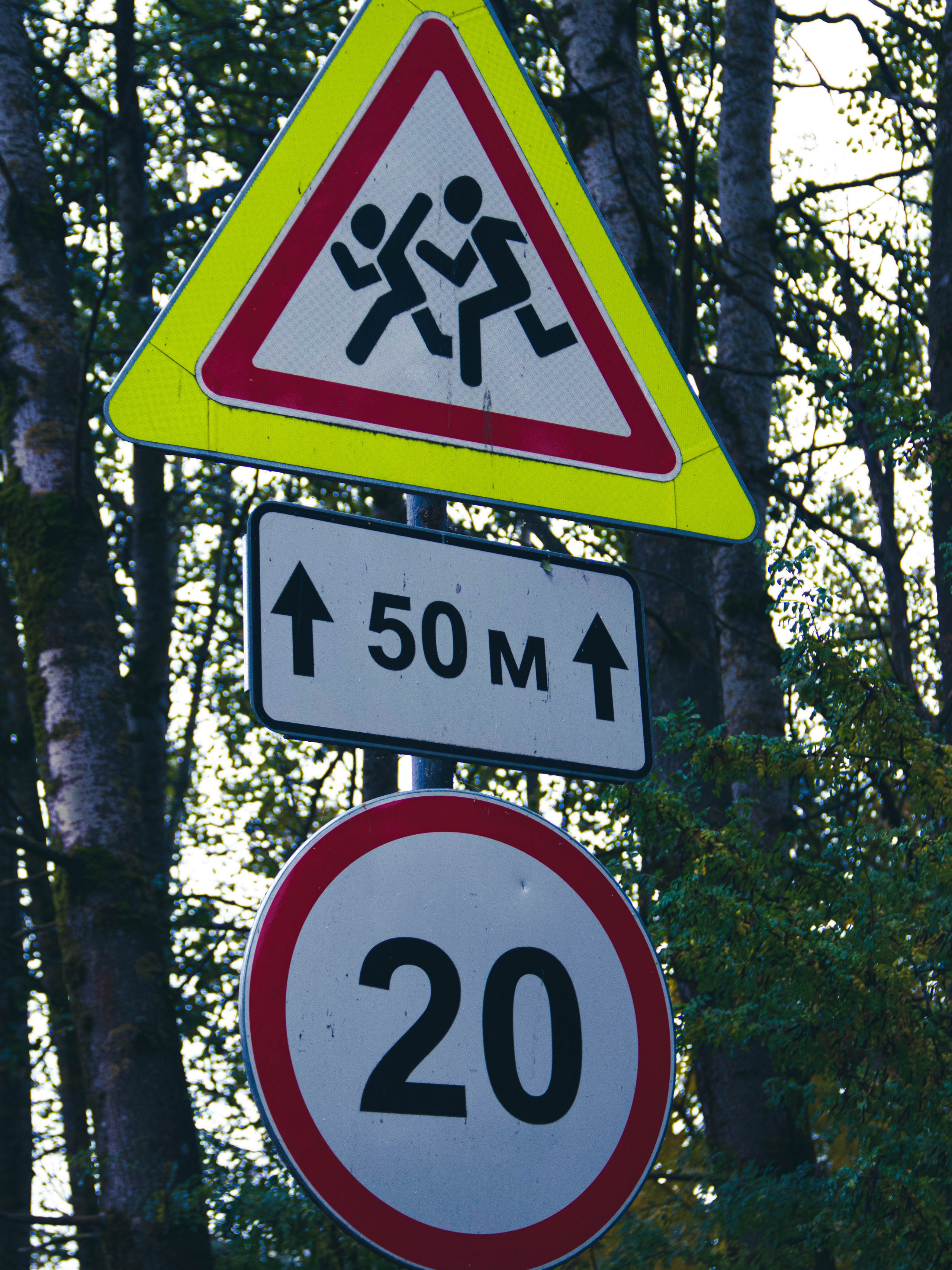 Село Петрилово (28.09.24). «Матрица»