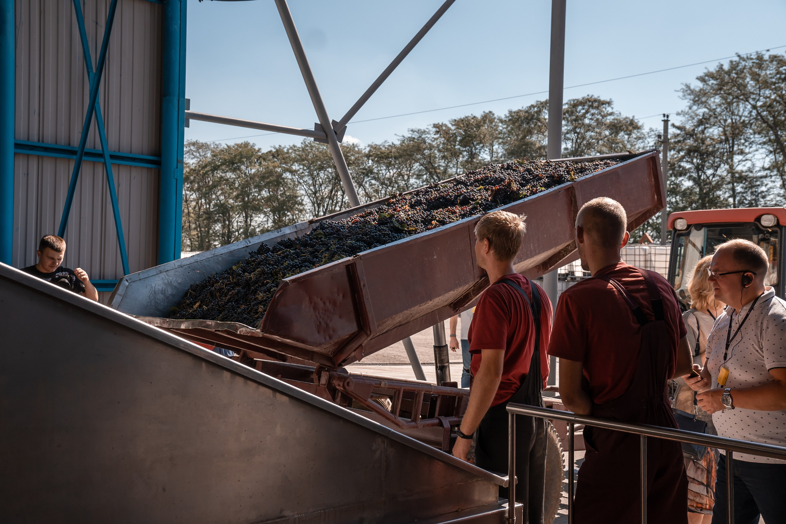 Винзавод. Фотограф из Краснодара Чеснокова Екатерина