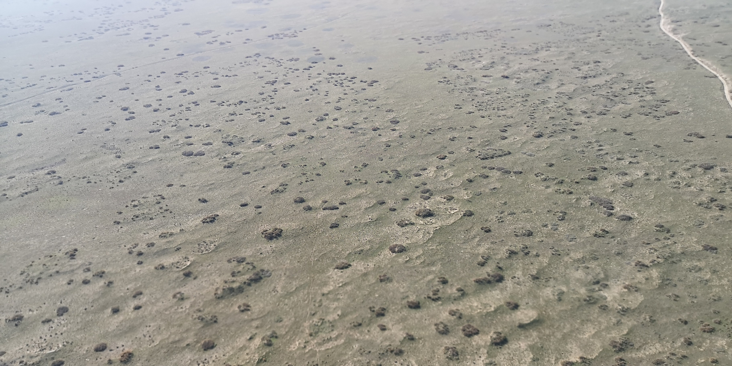 Каспийское море (наука на Ла-8) (2021 г.). Фотоальбом показывающий увлекательный мир авиации и мир медведей Андрея Иванова