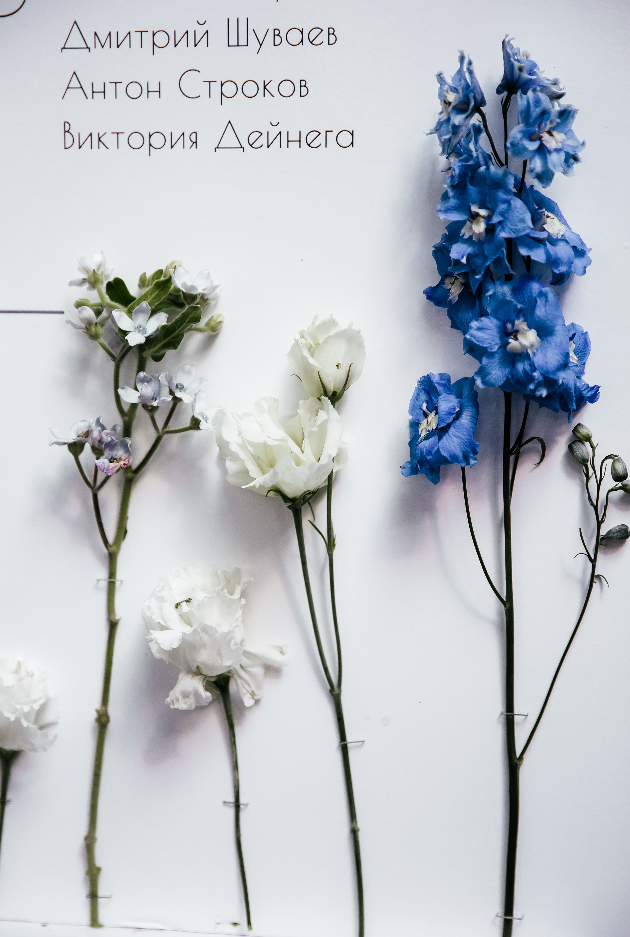 Veronika&Nikita. Валерия Солнцева свадебный и семейный фотограф