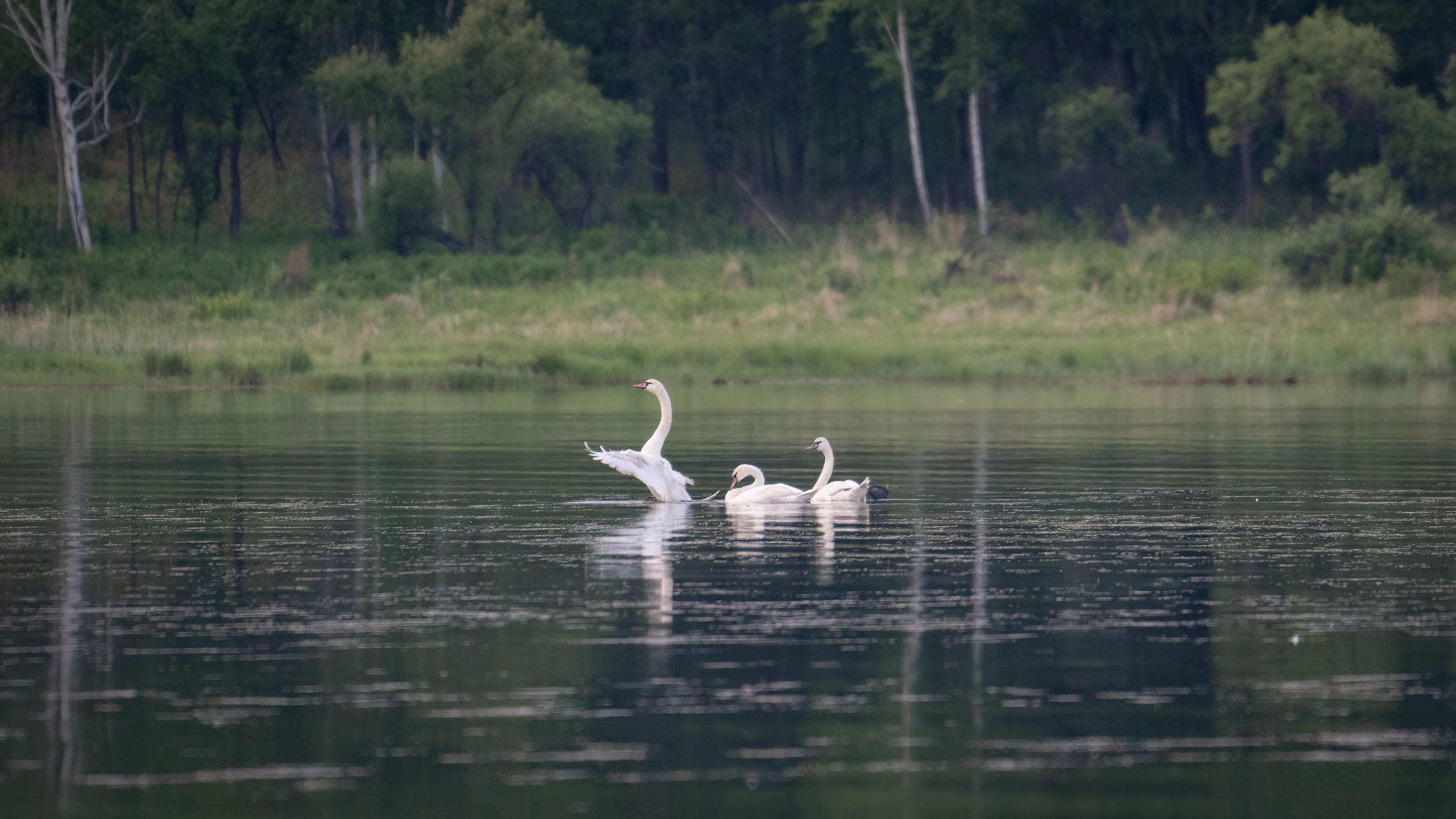 Портфолио. Фотограф и видеограф, видеомонтаж в Амурской области Игорь Иванов