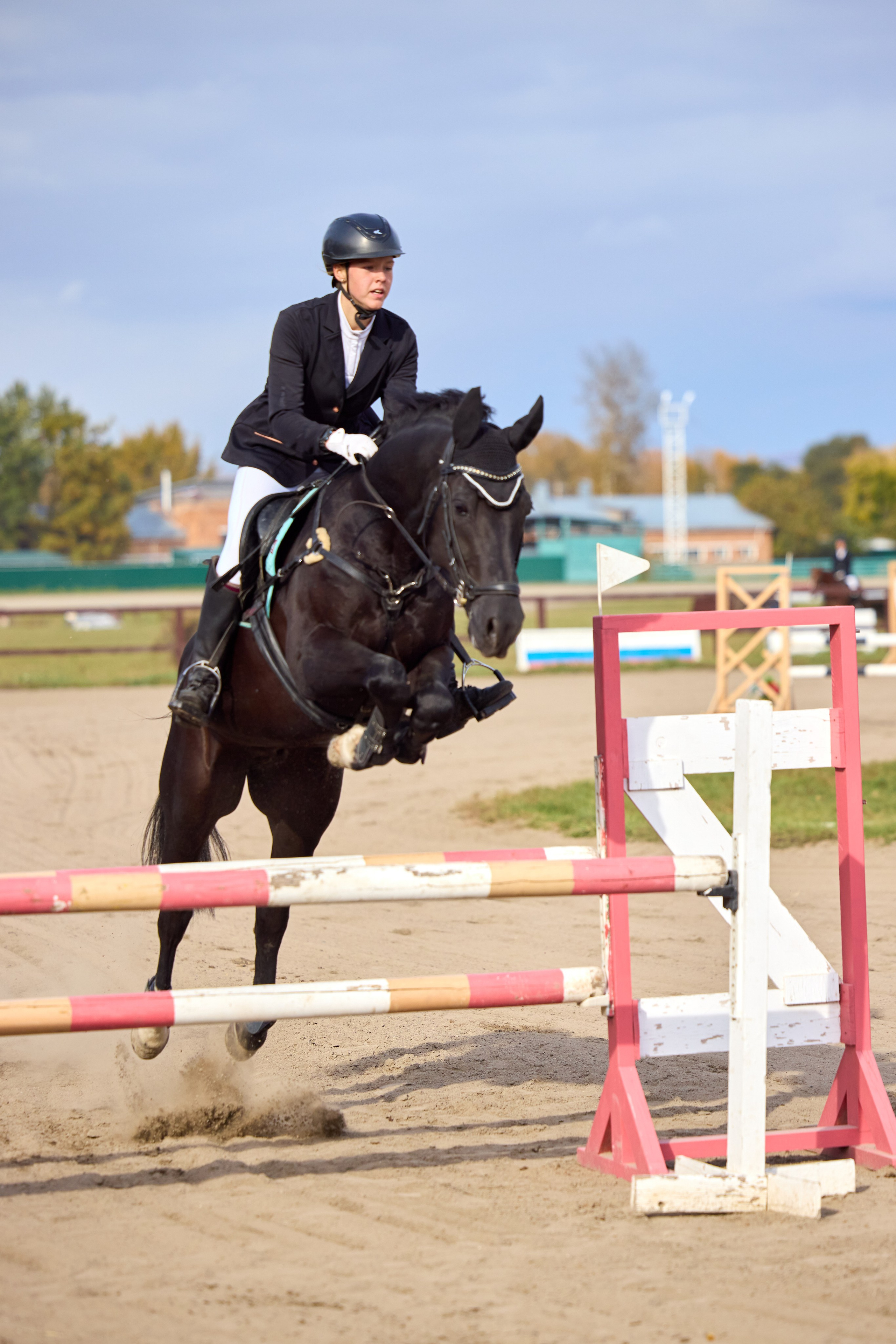 Конкур на Абаканском ипподроме. Ваши Истории. Фотограф/видеограф. Абакан
