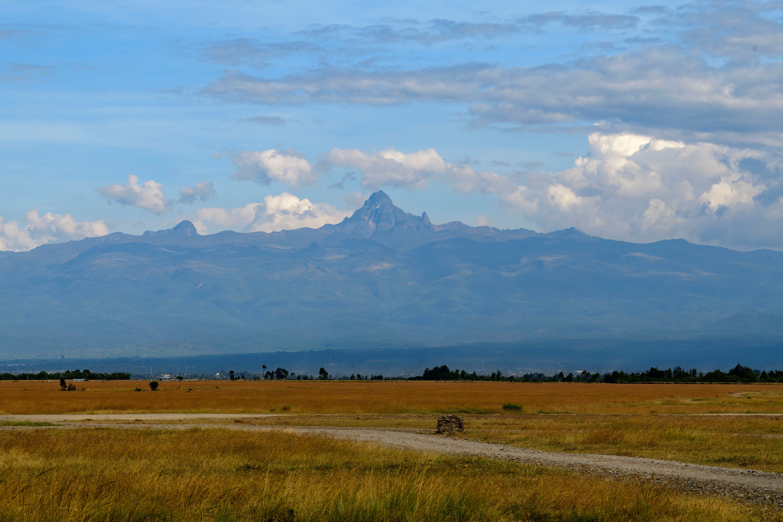 Кения. Wildlife photography by Sergey Puponin