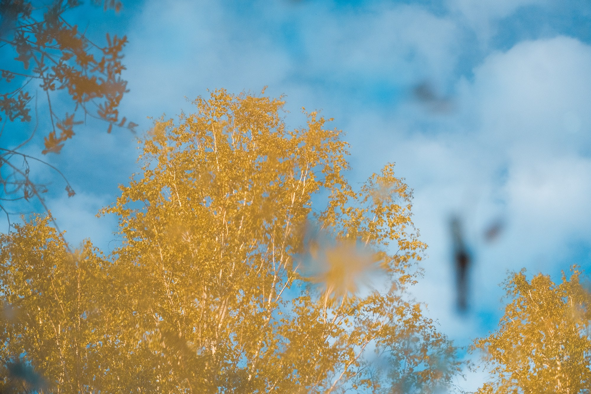 Природа. Фотограф в городе Каменск-Уральский — Метелёв Андрей