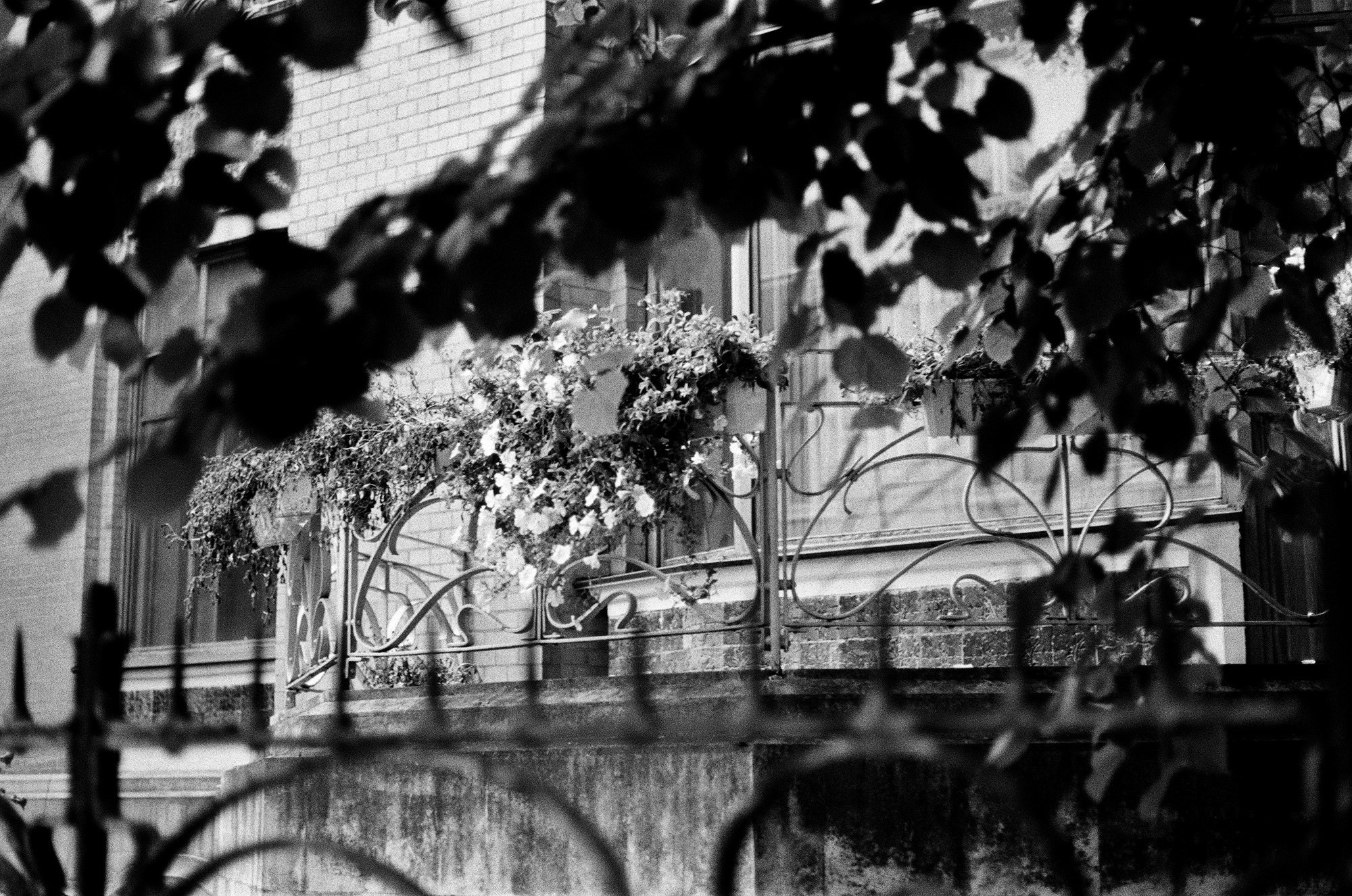 Neskuchny Garden and Ostozhenka