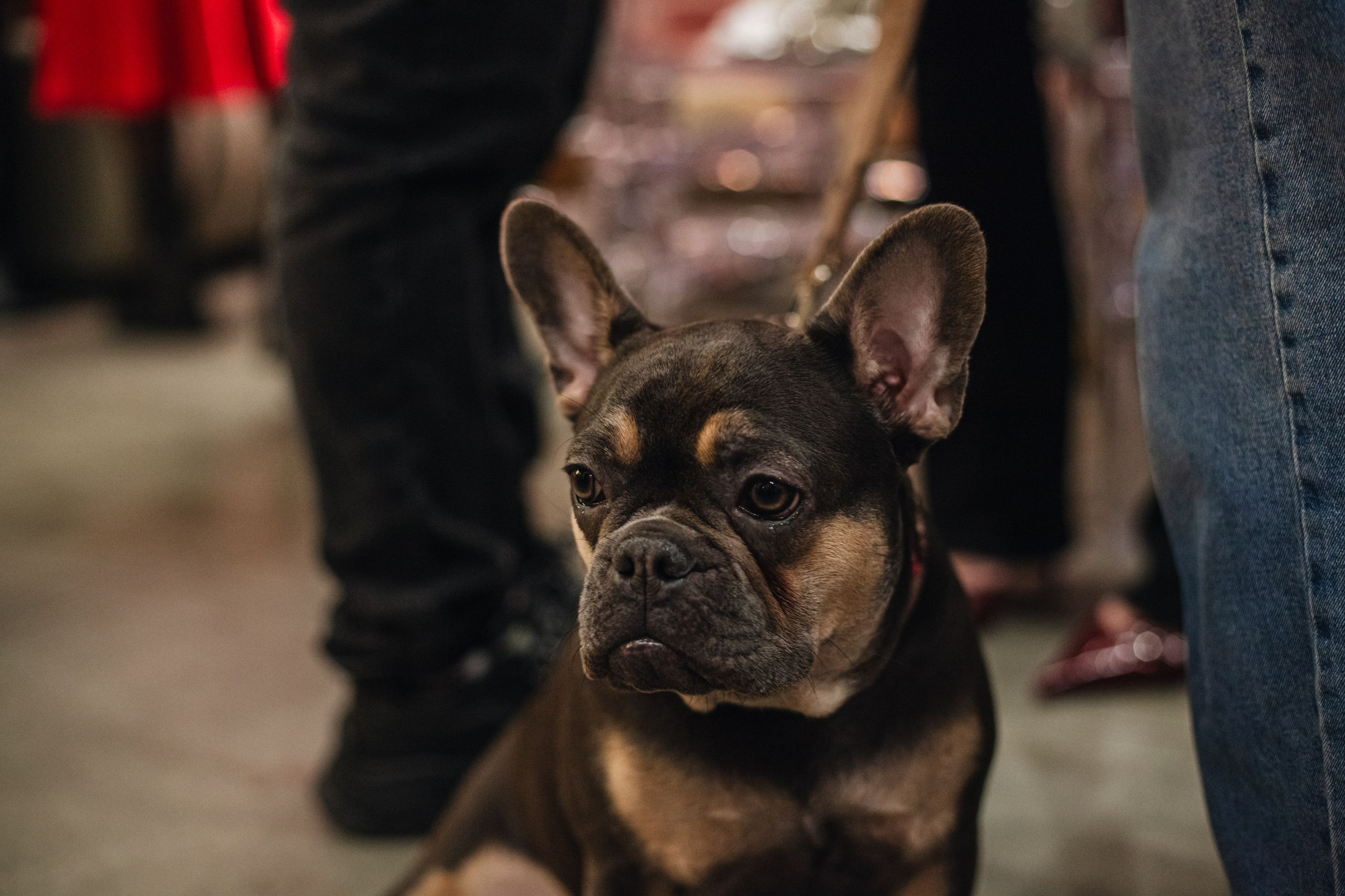 Бульёлка 2024. Фотограф-анималист Татьяна Степанова