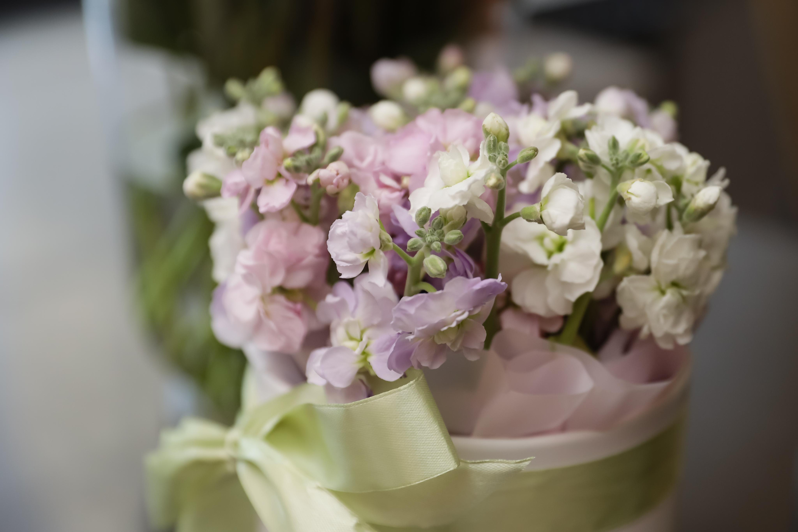 Детский праздник. Бочарова Мария — школьный фотограф Апрелевка, Новая Москва, Московская область