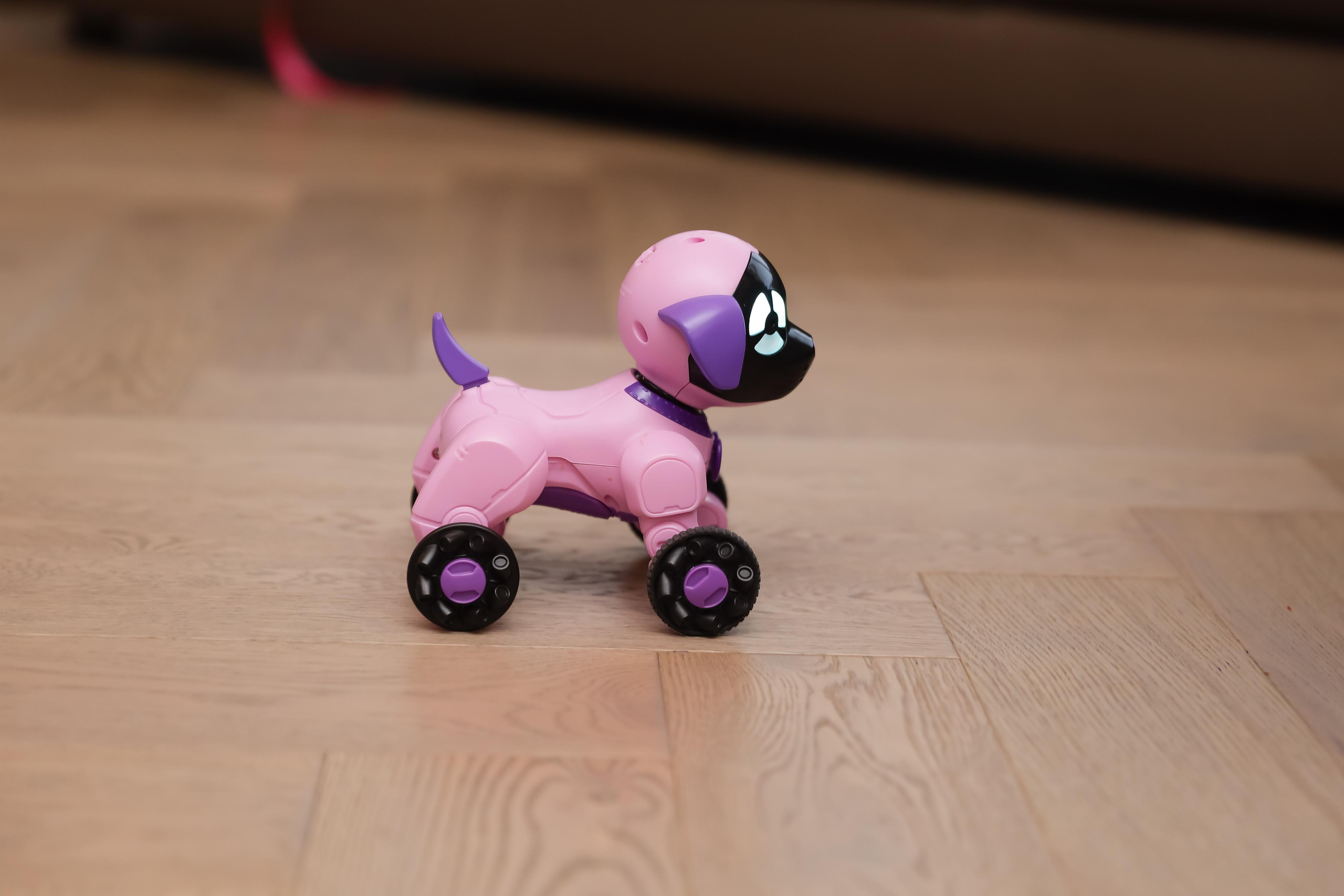 Детский праздник. Бочарова Мария — школьный фотограф Апрелевка, Новая Москва, Московская область