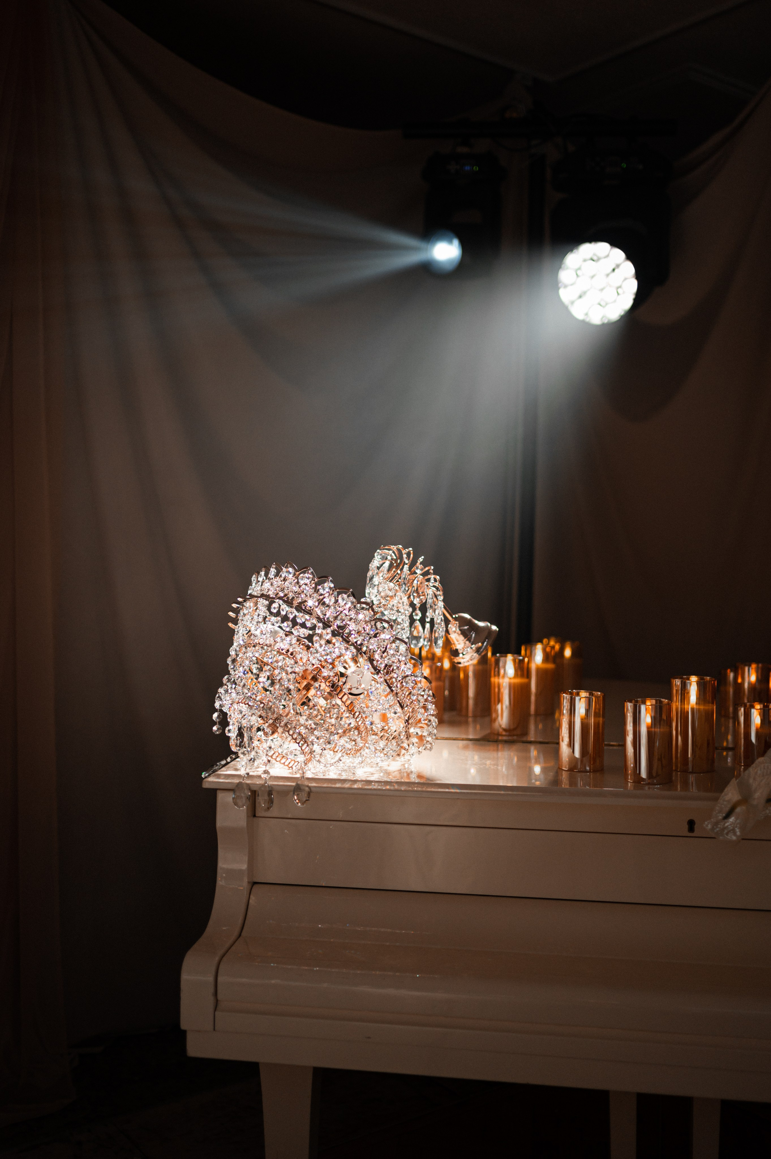 The white swan. Свадебный фотограф Дарья Жакова