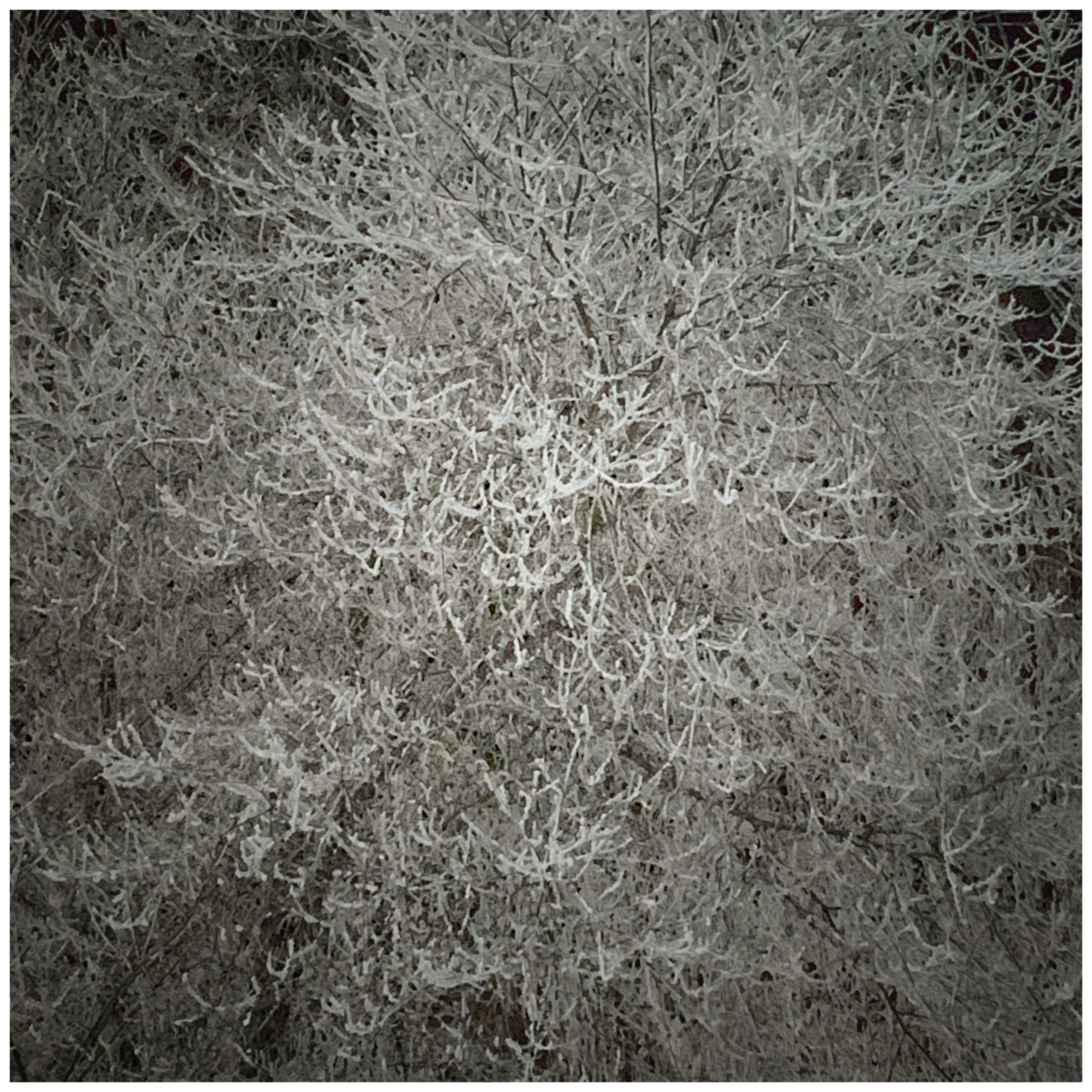 2020. Тащилин Сергей. Фотографии. Жизнь. Хобби