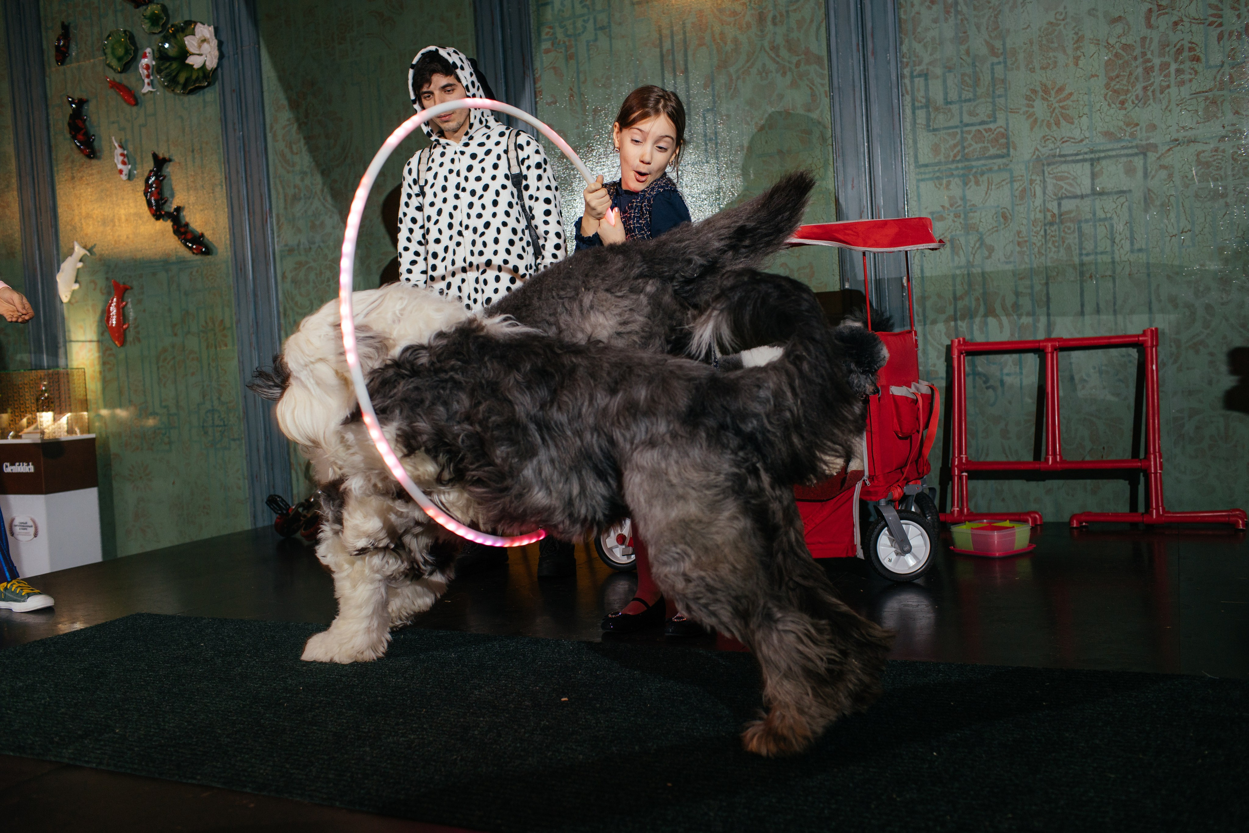 Алине 7 лет. Свадебный и семейный фотограф