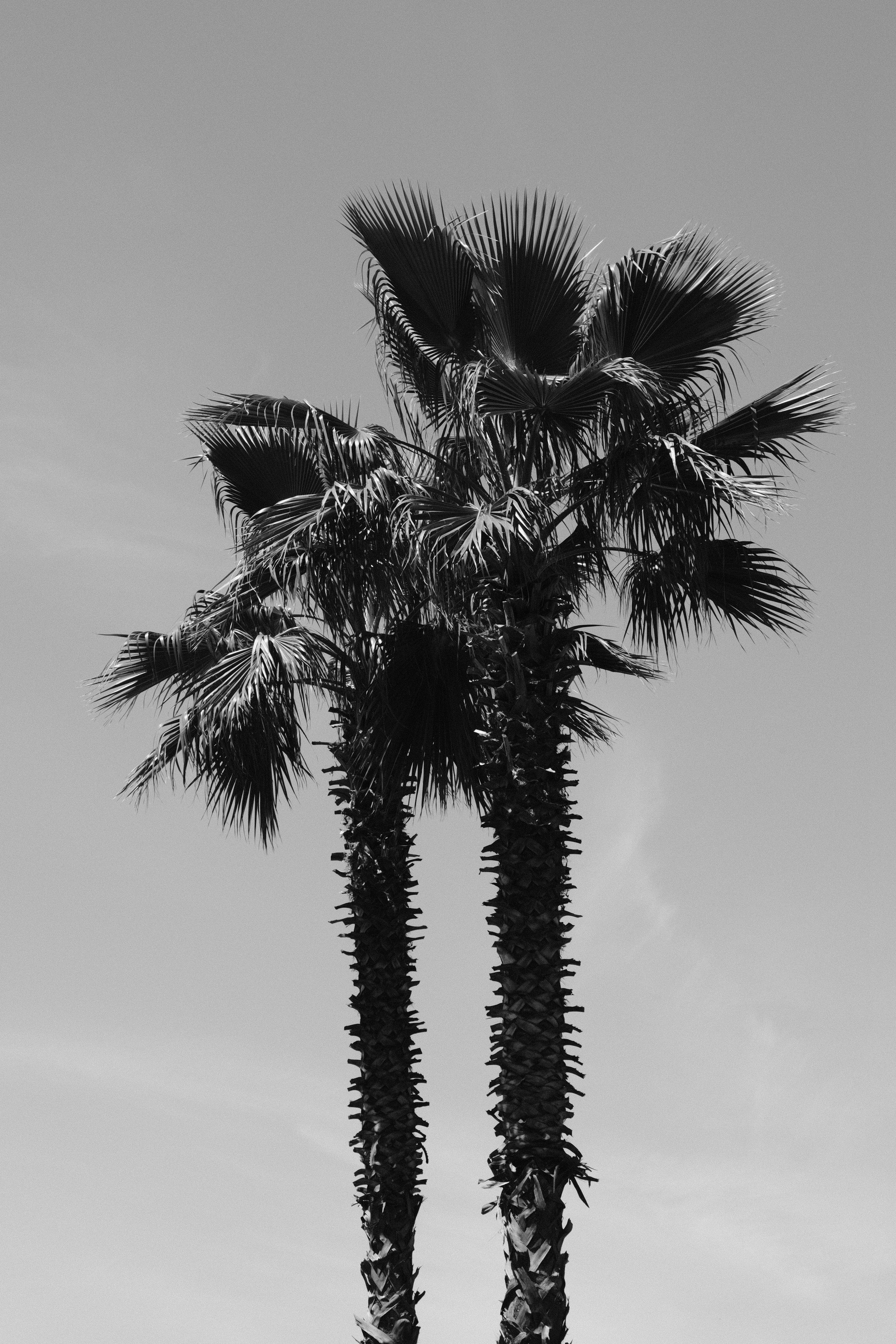 Abkhazia. Creative travel photographer — Berg Daria