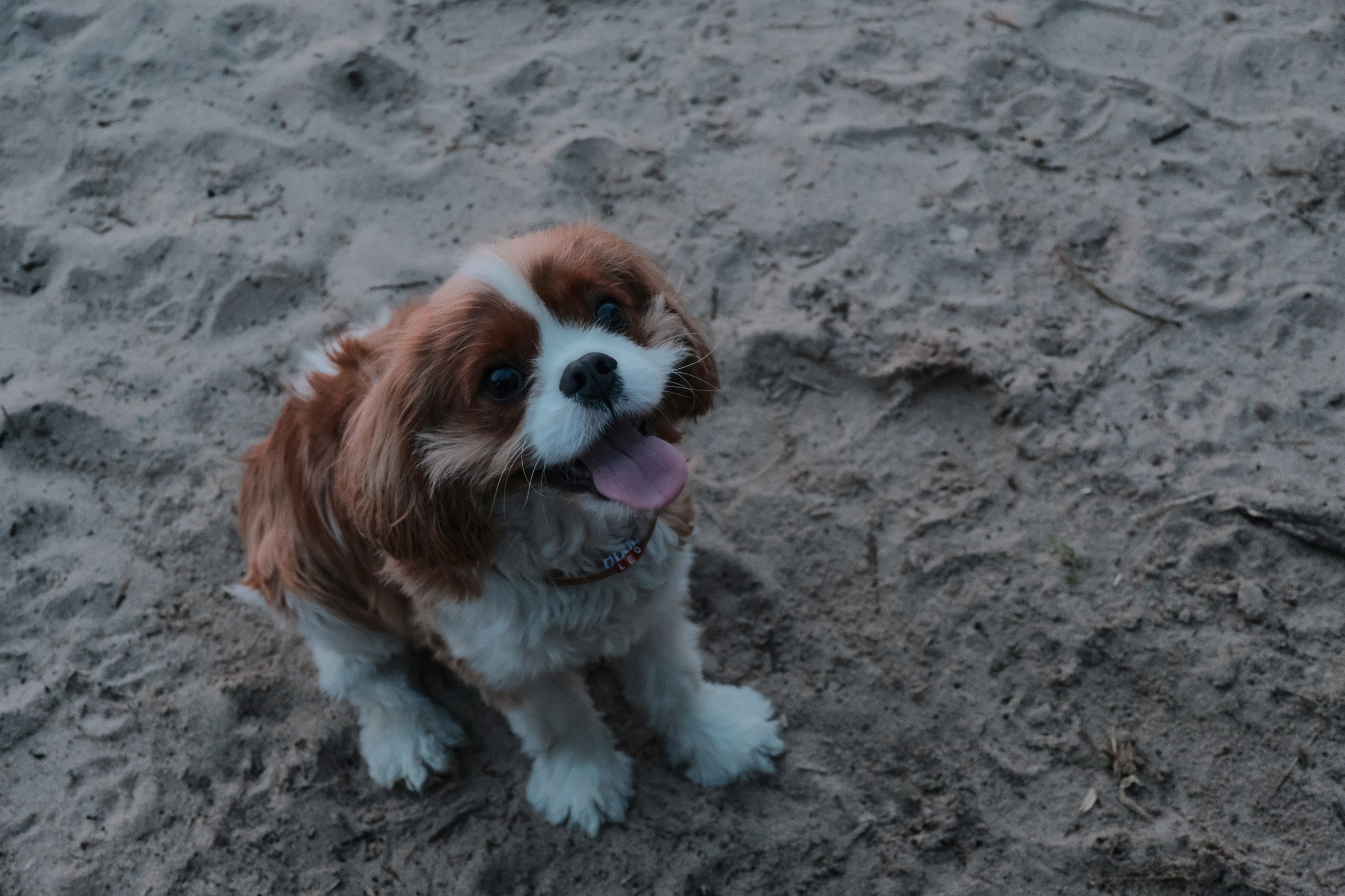 Saint Petersburg. Creative travel photographer — Berg Daria