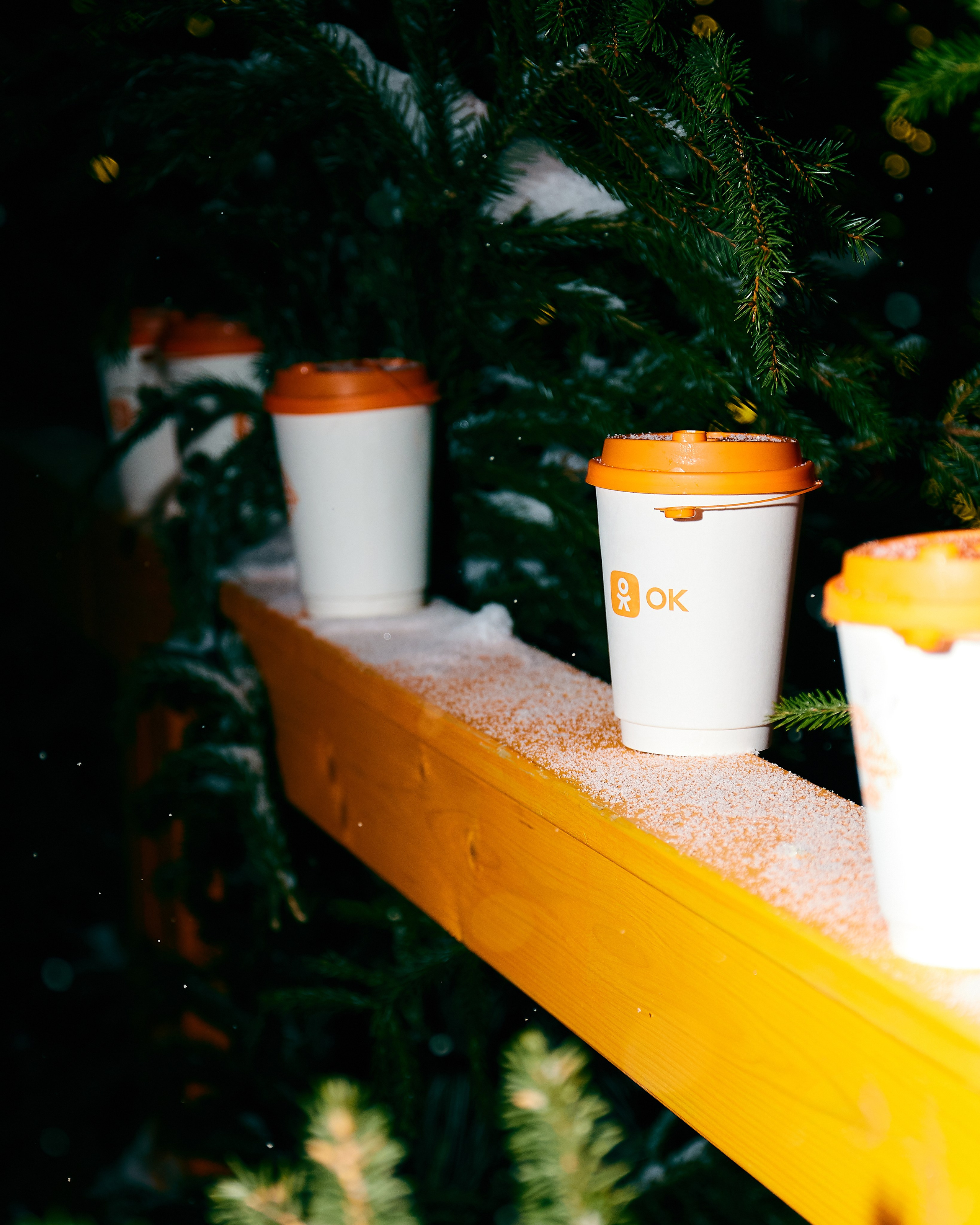 Открытие катка