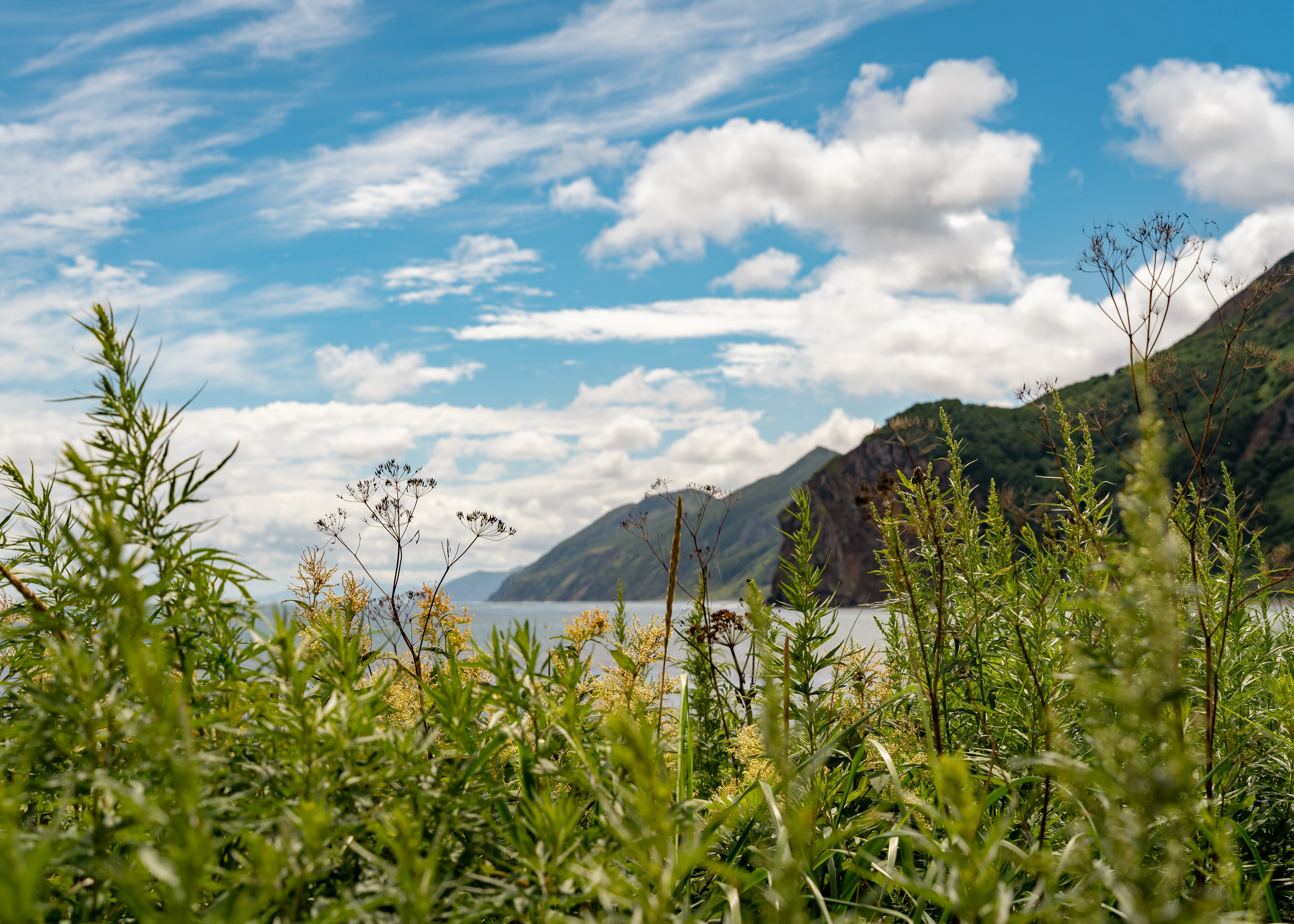 Сахалин. Семейный фотограф Варвара Сорока в городе Москве
