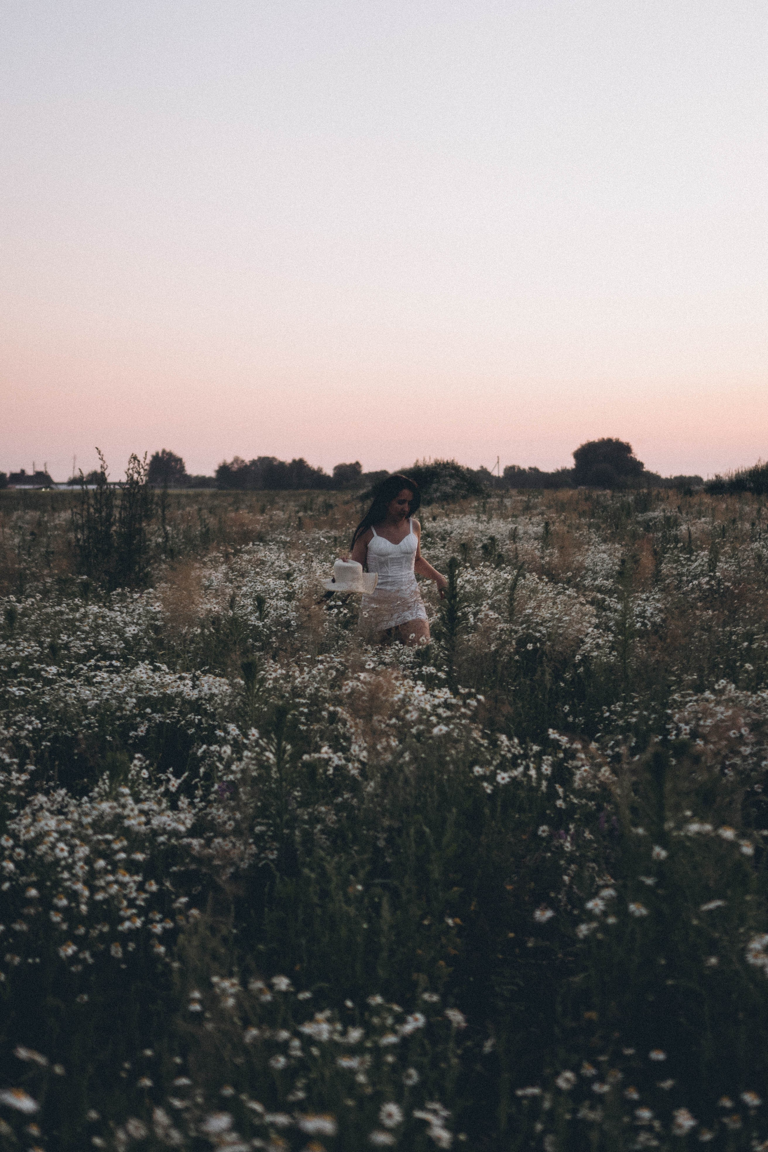 Ромашковое поле. Профессиональный фотограф, Санкт-Петербург — Виктория Богомолова