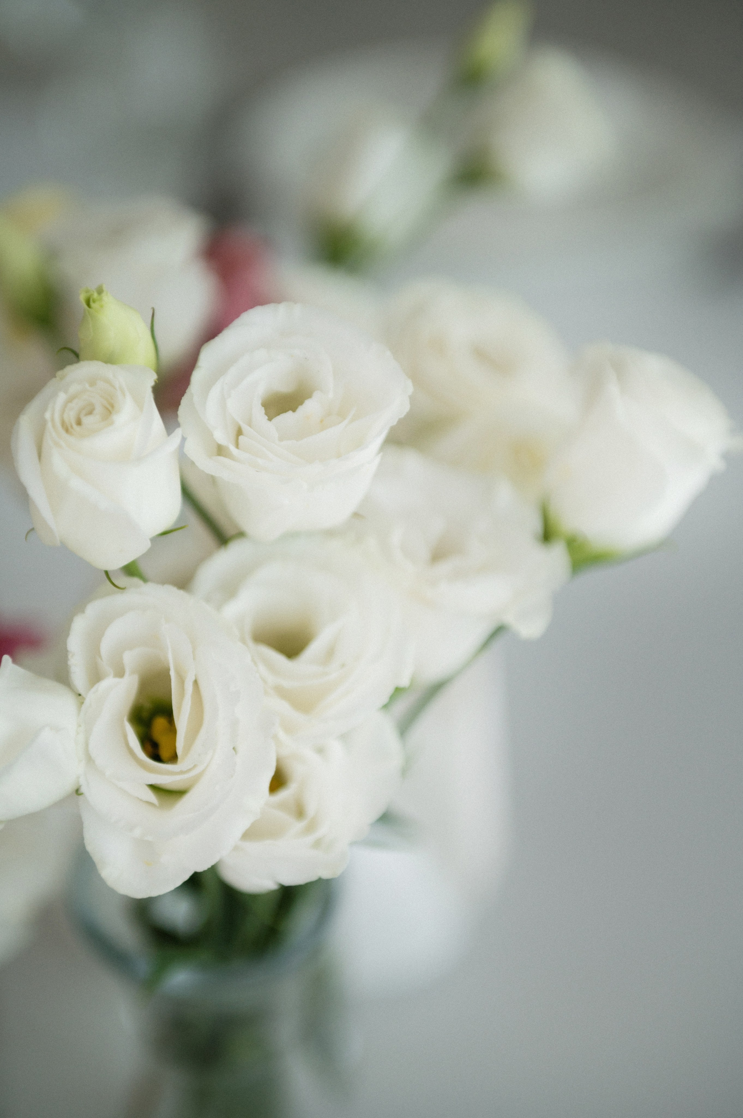 Евгений и Таня. Фотограф Штым Галина — Фотограф в Севастополе, Крыму