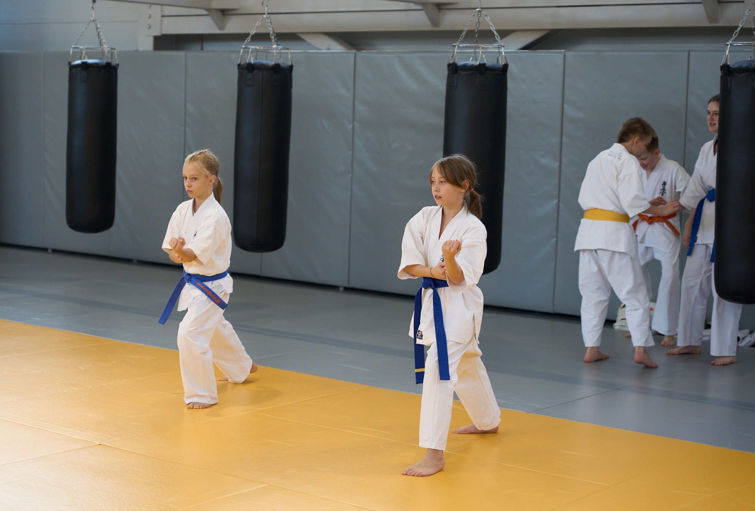 Открытие центров спортивных единоборств «Сокол» Красноярск/Дивногорск. Александр Сазонов Красноярск